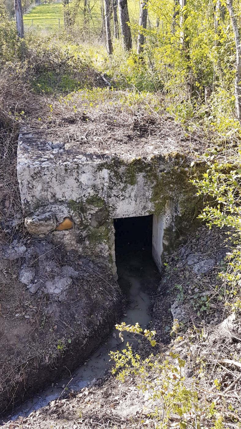 Ligne Maginot - GRILLY EST (5° BIE/II/9° RAD) - (Position d'artillerie préparée) -  - Dirknet