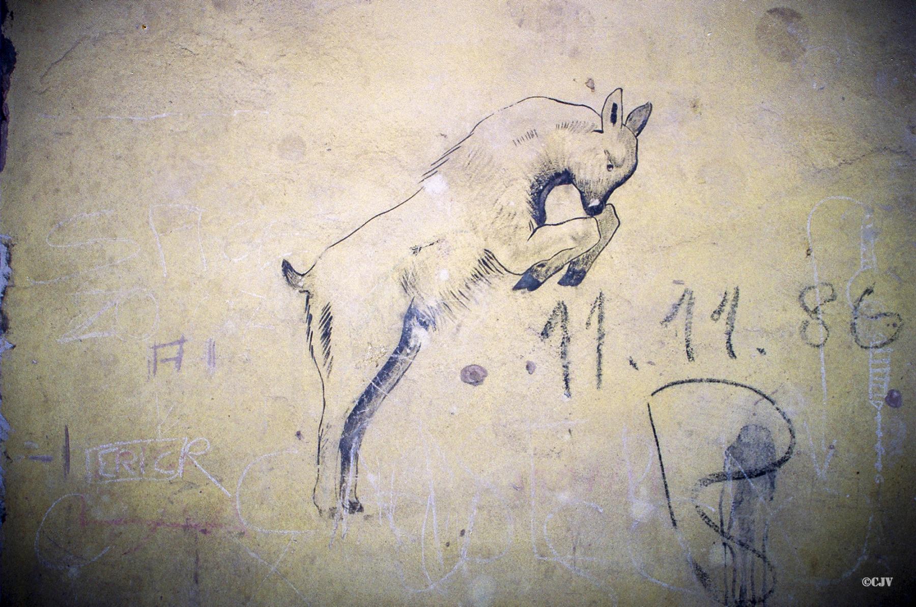 Ligne Maginot - LANGENSOULTZBACH - (Camp de sureté) - Bâtiment B
Salle d'angle gauche étage
Peinture murale du casernement - Lia VERMEULEN