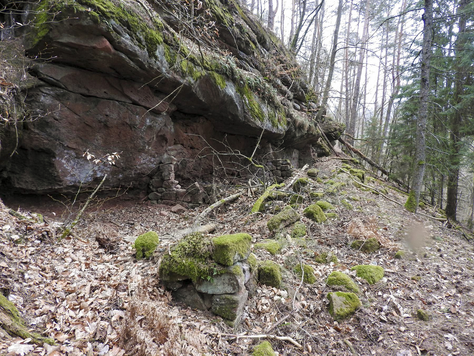 Ligne Maginot - PETIT STEINBERG - (Abri) - Les ruines d'un abri maçonné. - STENGER Mathieu