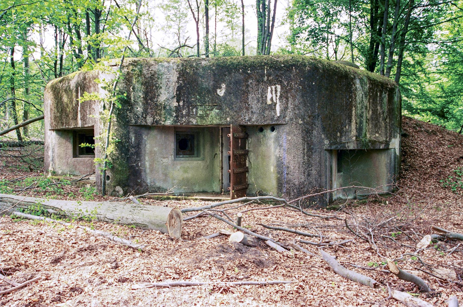 Ligne Maginot - NONNENHARDT N°3 - (Blockhaus pour arme infanterie) - Vue vers l'entrée - Lia VERMEULEN