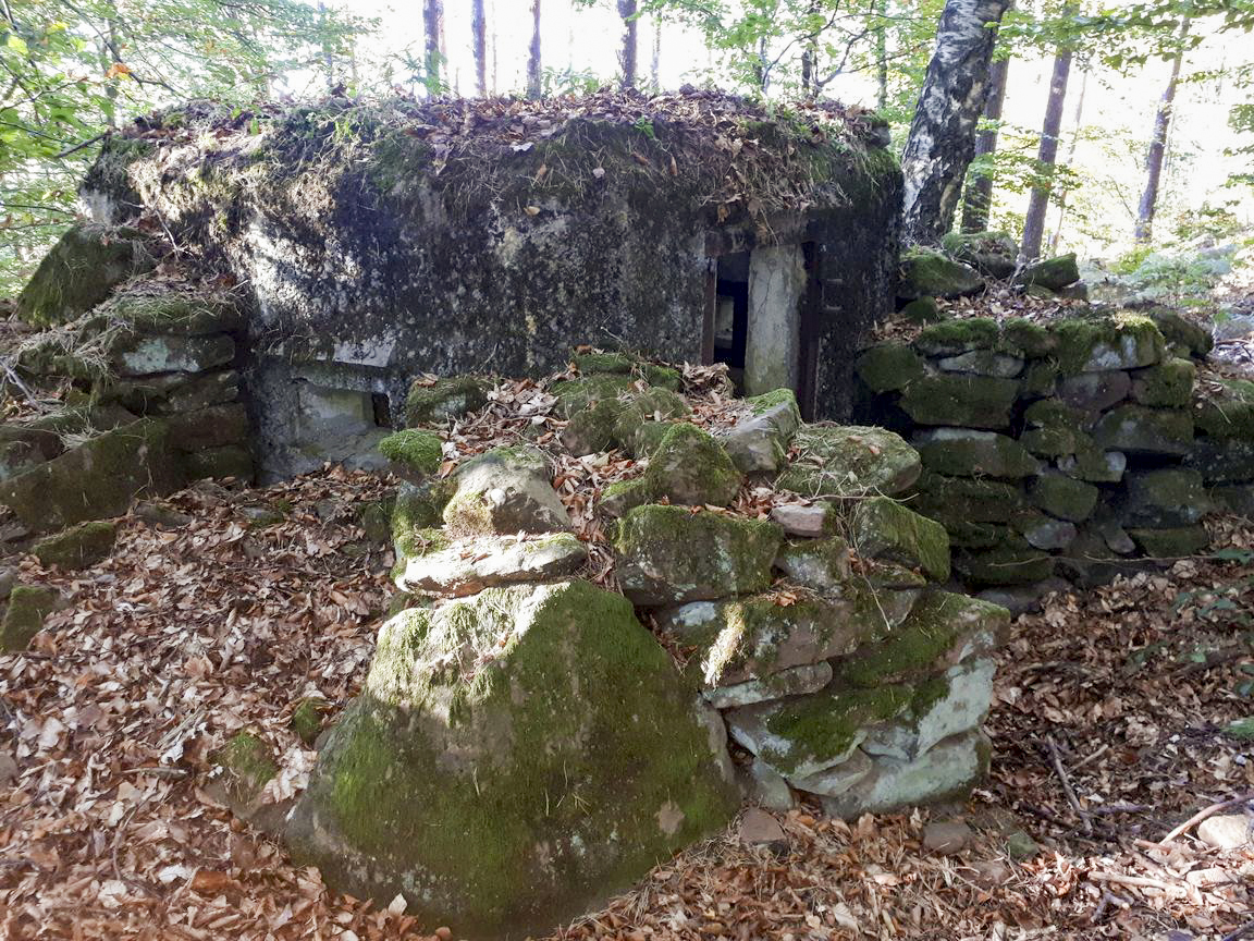 Ligne Maginot - FM41 - GRAND MUEHLBERG 1 - (Blockhaus pour arme infanterie) - L'entrée et le créneau de gauche - B.Henrich