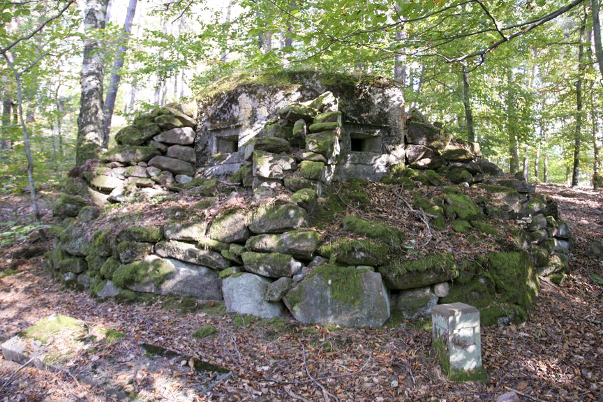 Ligne Maginot - FM41 - GRAND MUEHLBERG 1 - (Blockhaus pour arme infanterie) - Les deux créneaux frontaux - B.Henrich