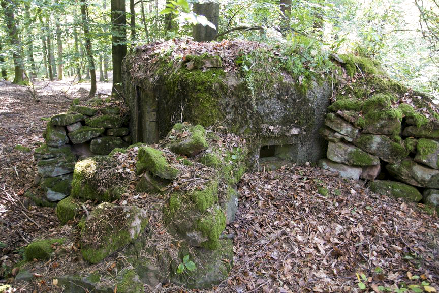 Ligne Maginot - FM41 - GRAND MUEHLBERG 1 - (Blockhaus pour arme infanterie) - L'entrée et le créneau de droite - B.Henrich