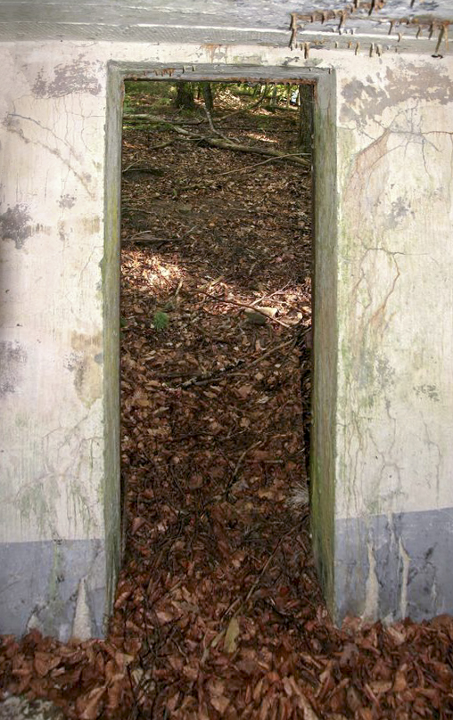 Ligne Maginot - FM41 - GRAND MUEHLBERG 1 - (Blockhaus pour arme infanterie) - l'entrée - B.Henrich