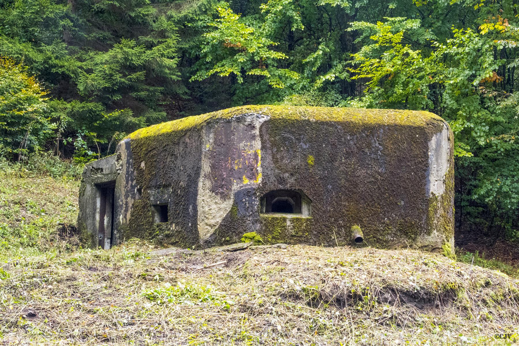 Ligne Maginot - LANGTHAL 1 - (Blockhaus pour arme infanterie) - Vue sur le créneau FM latéral - Lia VERMEULEN