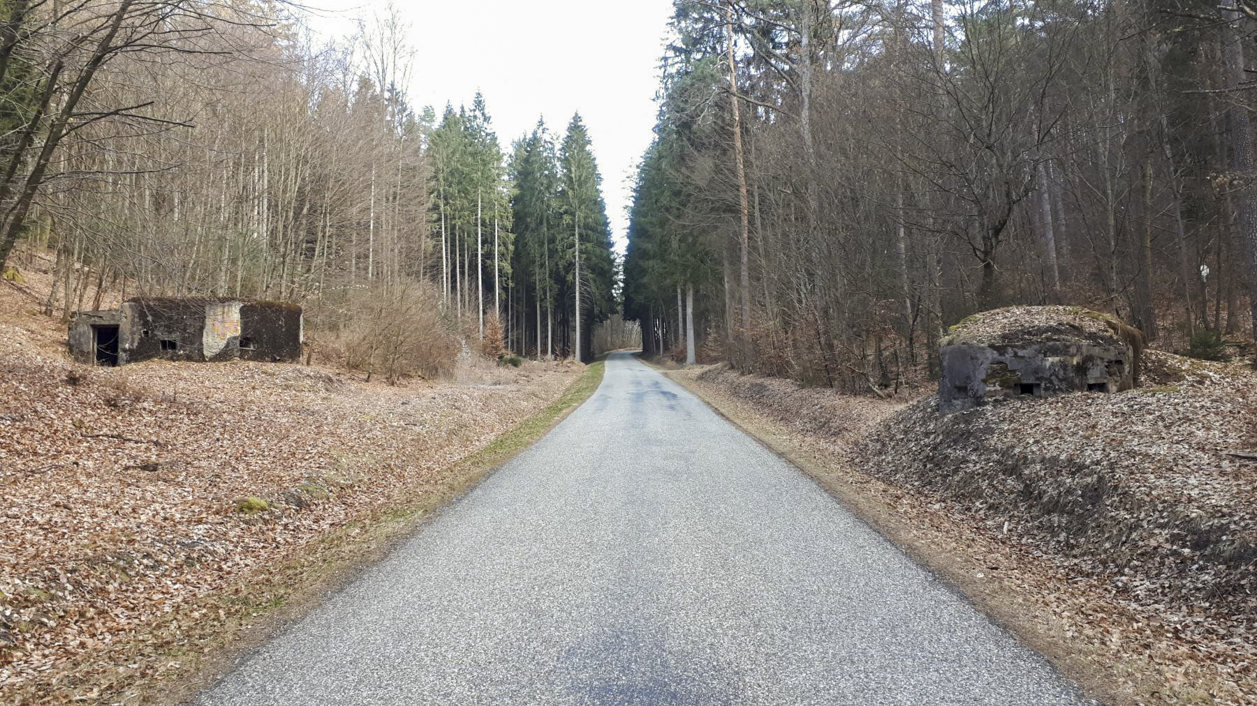 Ligne Maginot - Les blockhaus LANGTHAL 1 et 2 - Vue arrière, à gauche Langthal 1 et à droite Langthal 2 - Gregory Fuchs