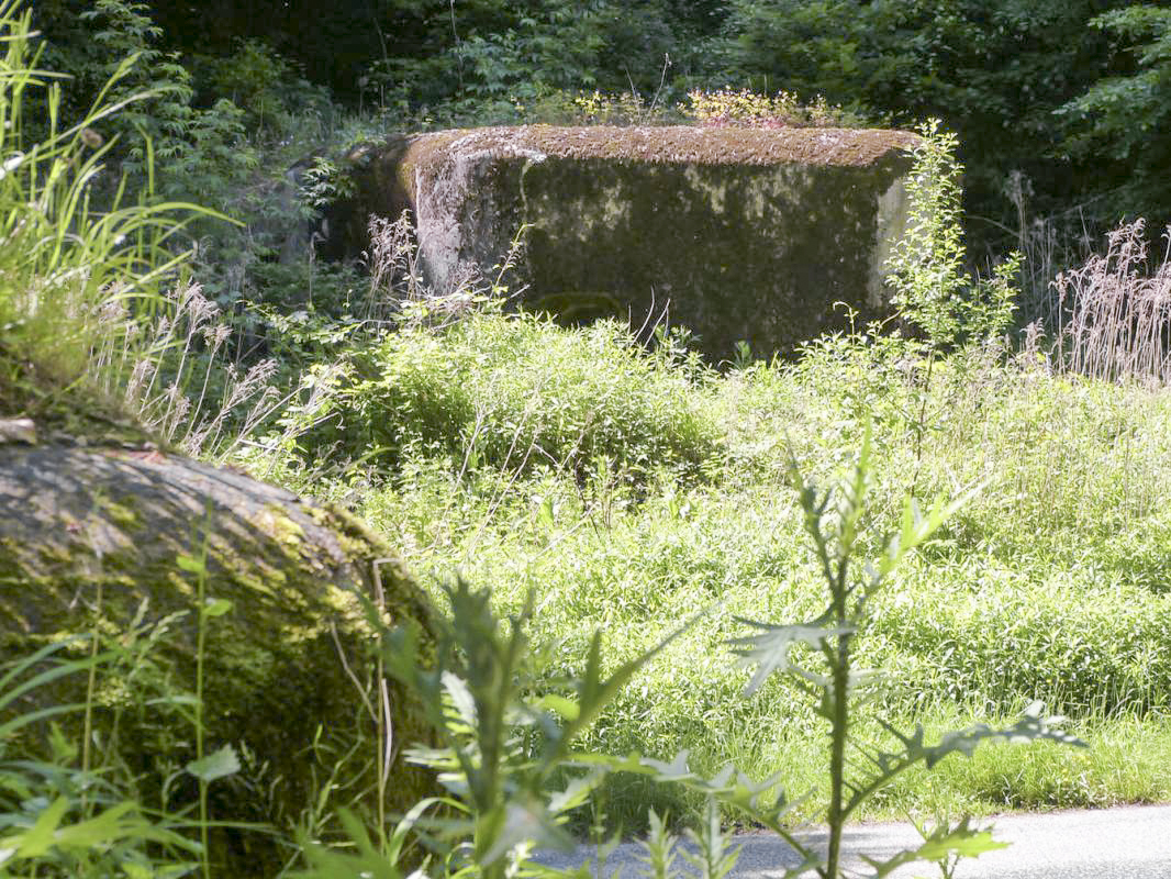 Ligne Maginot - LANGTHAL 1 - (Blockhaus pour arme infanterie) - Langthal 1 vue depuis Langthal 2 - JMBrams