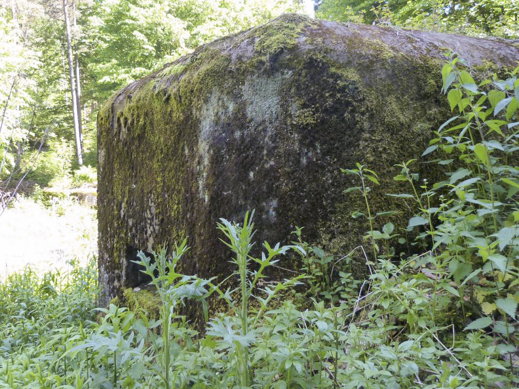 Ligne Maginot - LANGTHAL 1 - (Blockhaus pour arme infanterie) - Créneau FM frontal - JMBrams