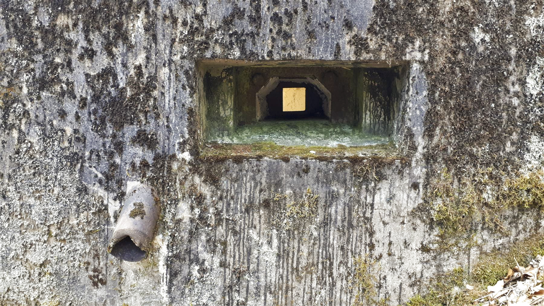 Ligne Maginot - LANGTHAL 1 - (Blockhaus pour arme infanterie) - Détail du créneau FM frontal, noter le bétonnage de la partie basse - Gregory Fuchs