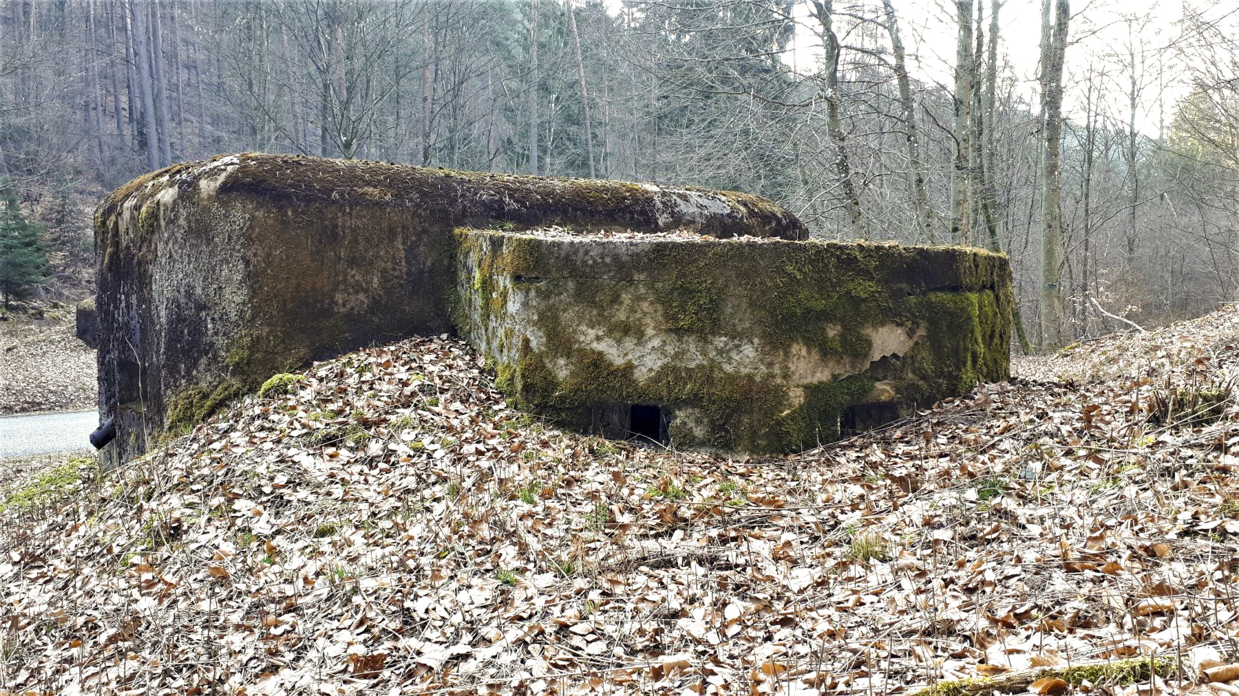 Ligne Maginot - LANGTHAL 1 - (Blockhaus pour arme infanterie) - Le blockhaus de défense rapprochée - Gregory Fuchs