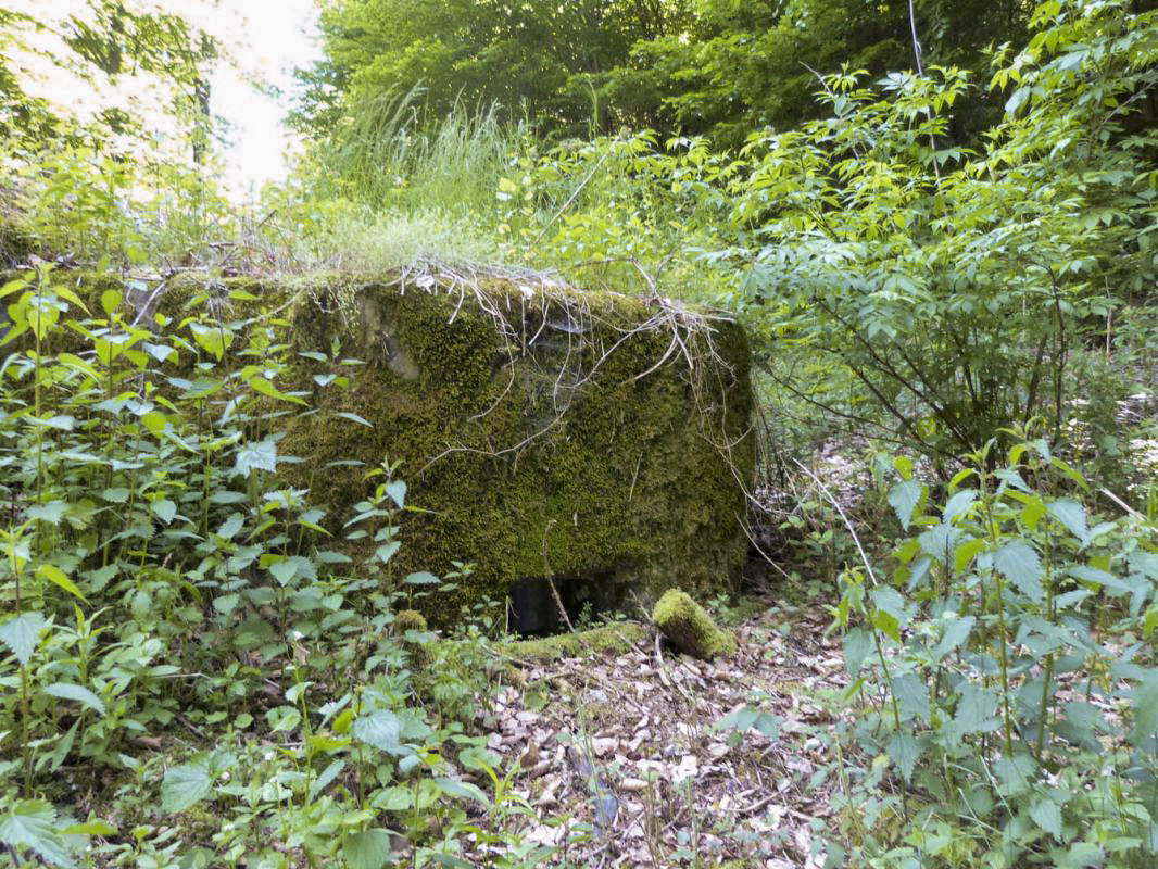Ligne Maginot - LANGTHAL 1 - (Blockhaus pour arme infanterie) - Un des créneaux du blockhaus de défense rapprochée - JMBrams