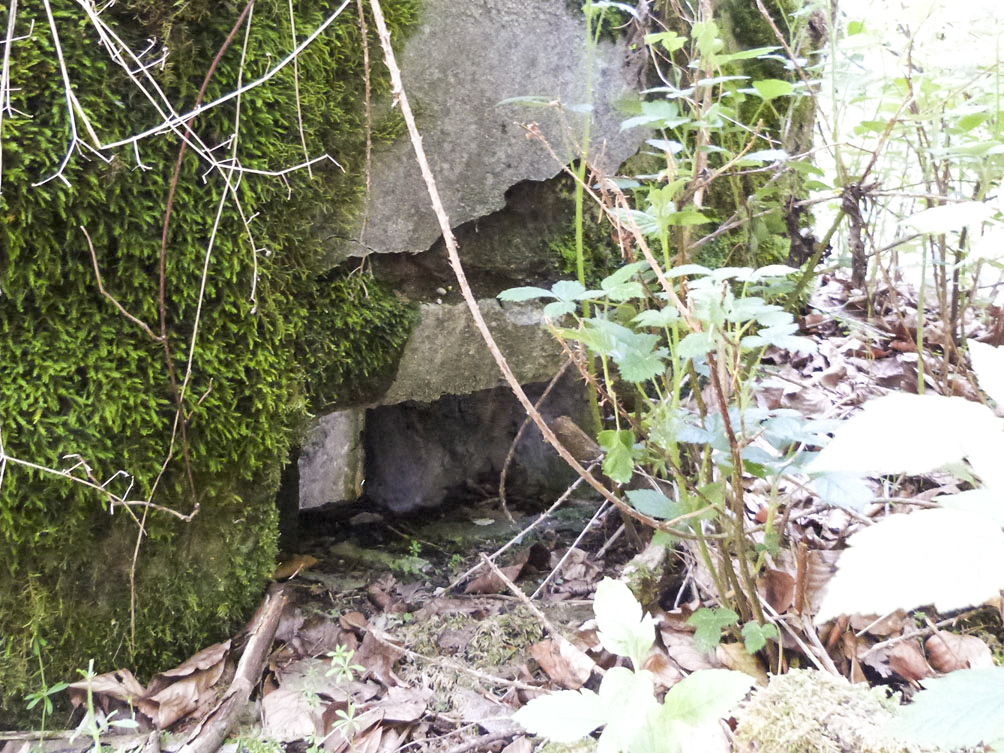 Ligne Maginot - LANGTHAL 1 - (Blockhaus pour arme infanterie) - Un des créneaux du blockhaus de défense rapprochée - JMBrams