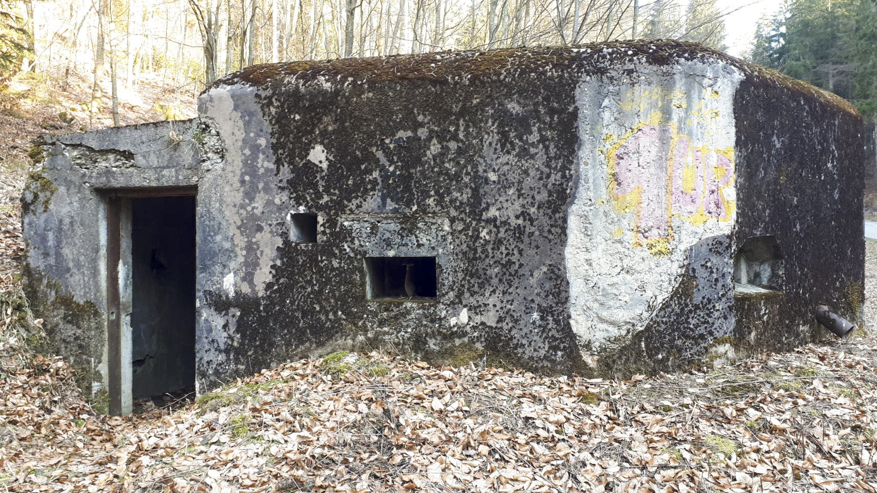 Ligne Maginot - LANGTHAL 1 - (Blockhaus pour arme infanterie) - L'entrée - Gregory Fuchs