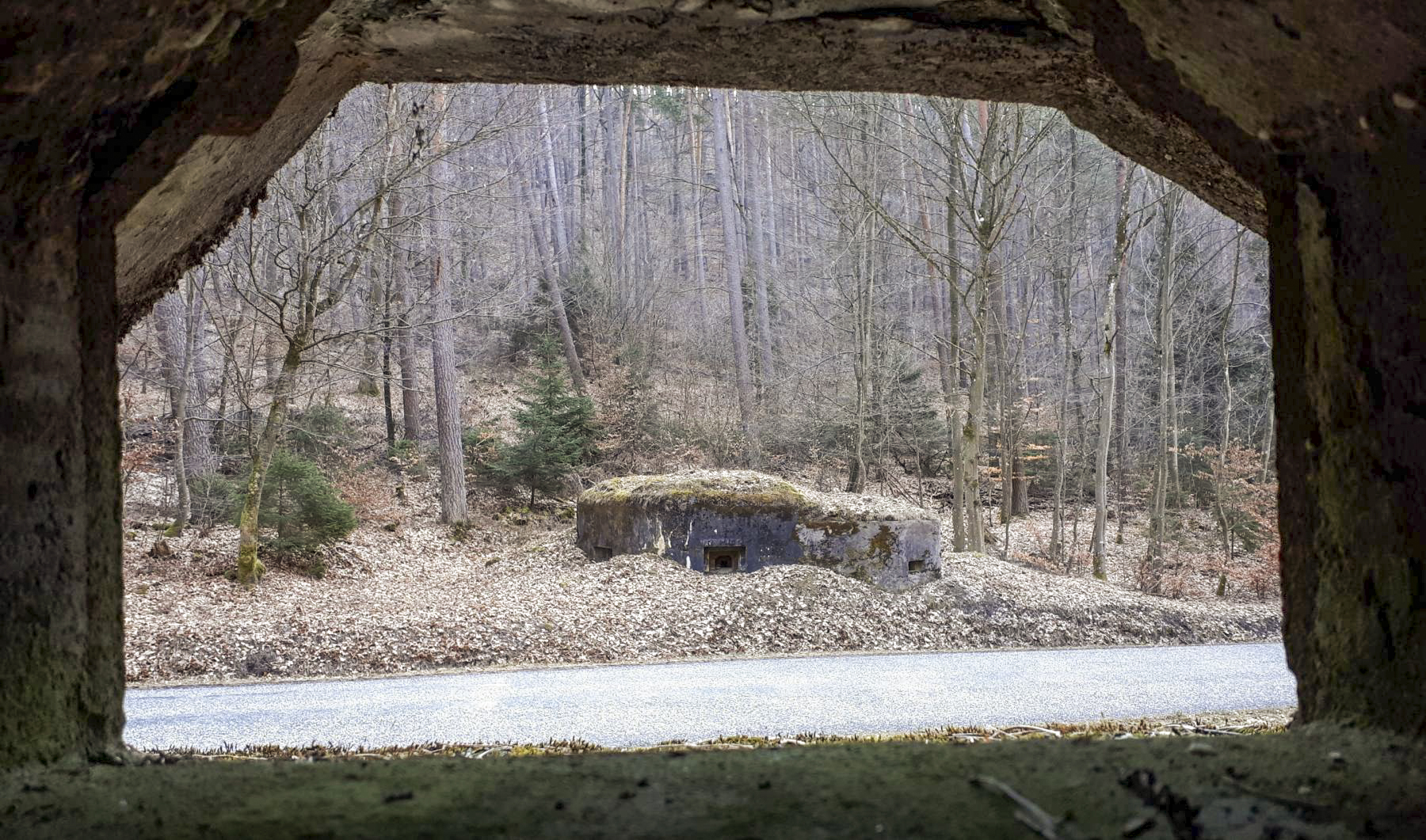 Ligne Maginot - LANGTHAL 1 - (Blockhaus pour arme infanterie) - Vue depuis le créneau FM latéral - Gregory Fuchs