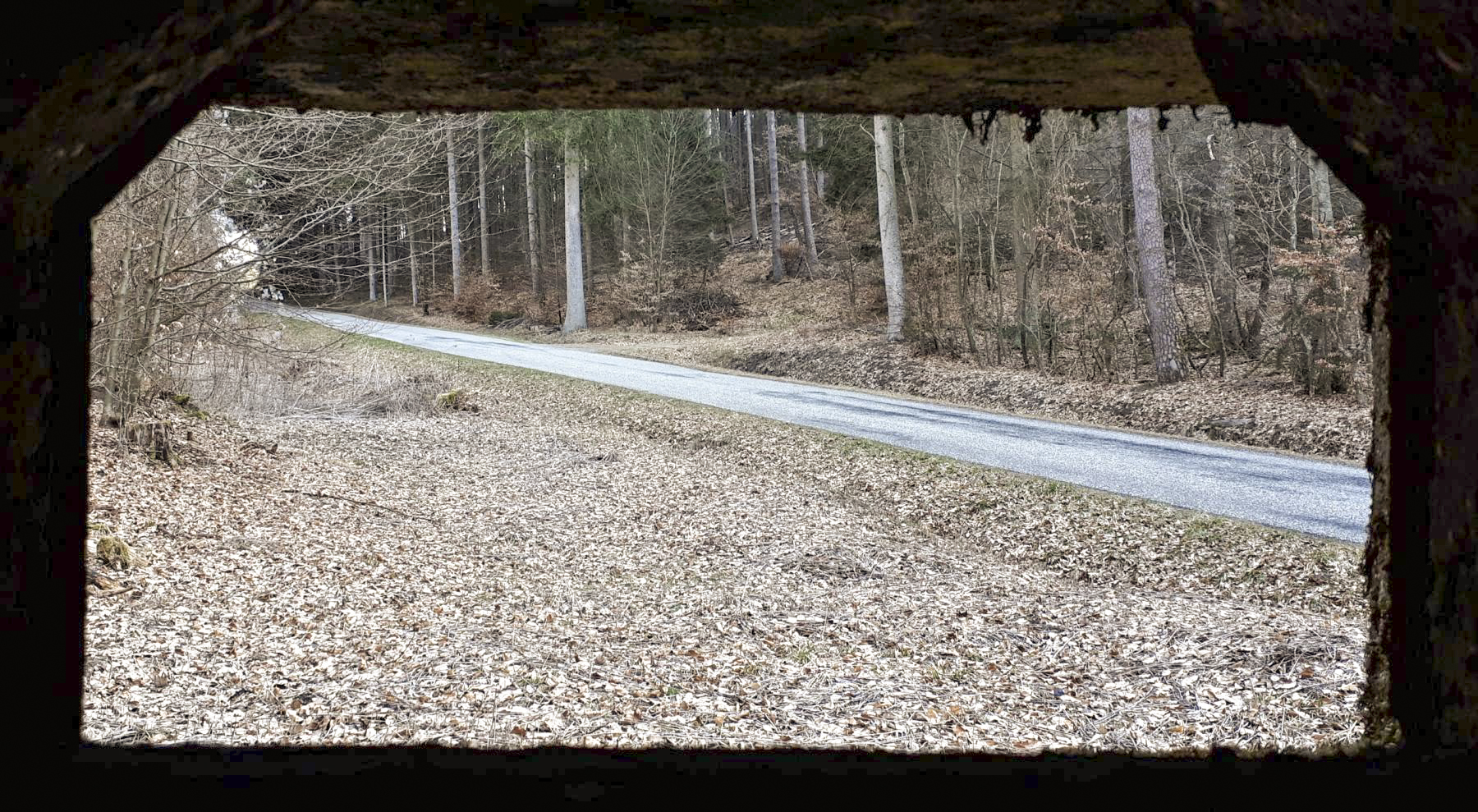 Ligne Maginot - LANGTHAL 1 - (Blockhaus pour arme infanterie) - Vue depuis le créneau FM frontal - Gregory Fuchs