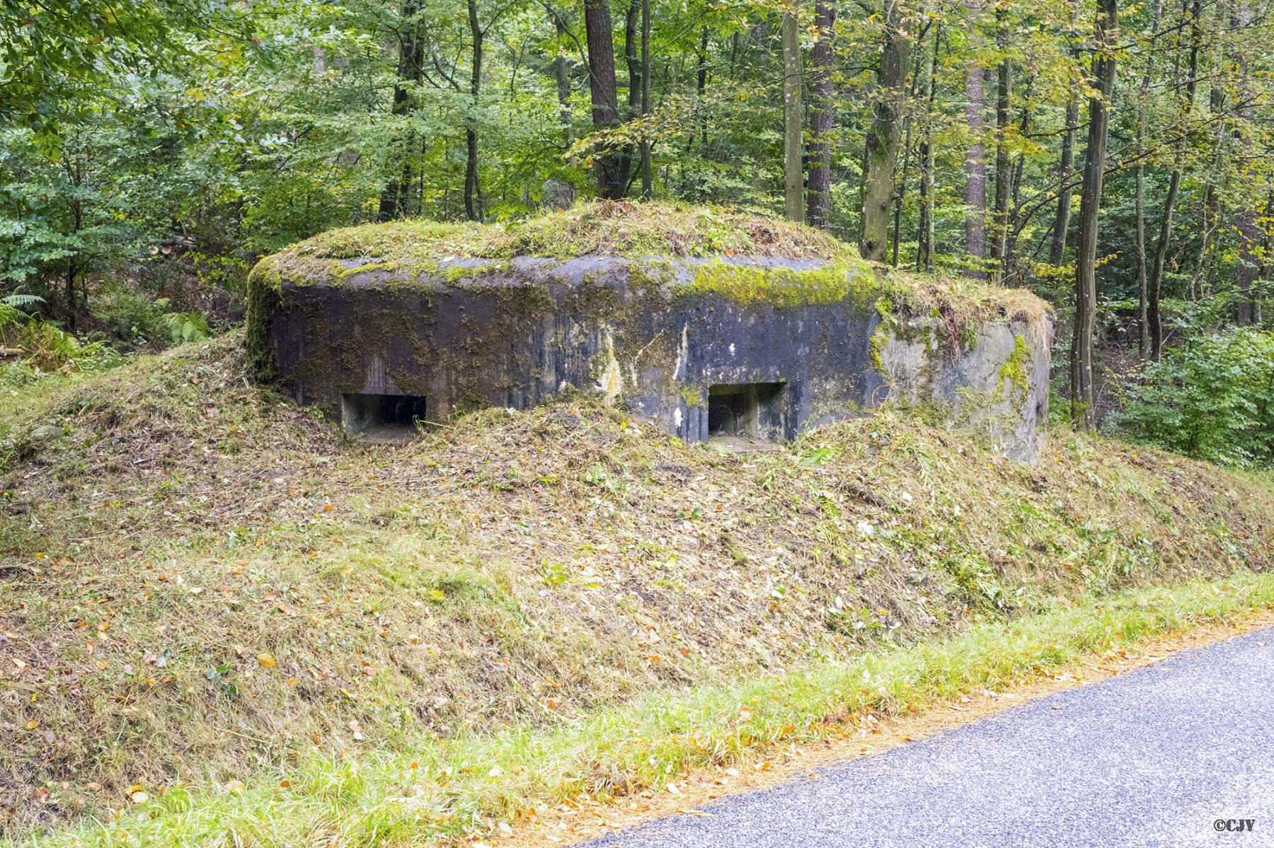 Ligne Maginot - LANGTHAL 2 - (Blockhaus pour arme infanterie) - Vue sur les deux créneaux FM - Lia VERMEULEN