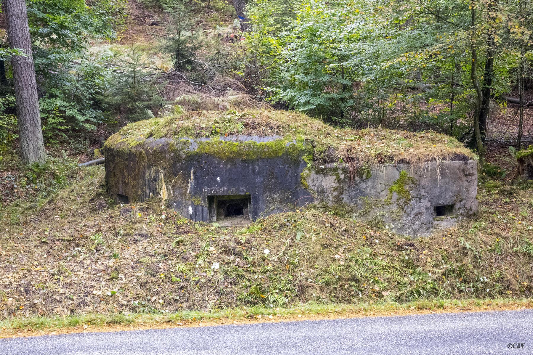 Ligne Maginot - LANGTHAL 2 - (Blockhaus pour arme infanterie) - Vue sur le créneau FM latéral - Lia VERMEULEN