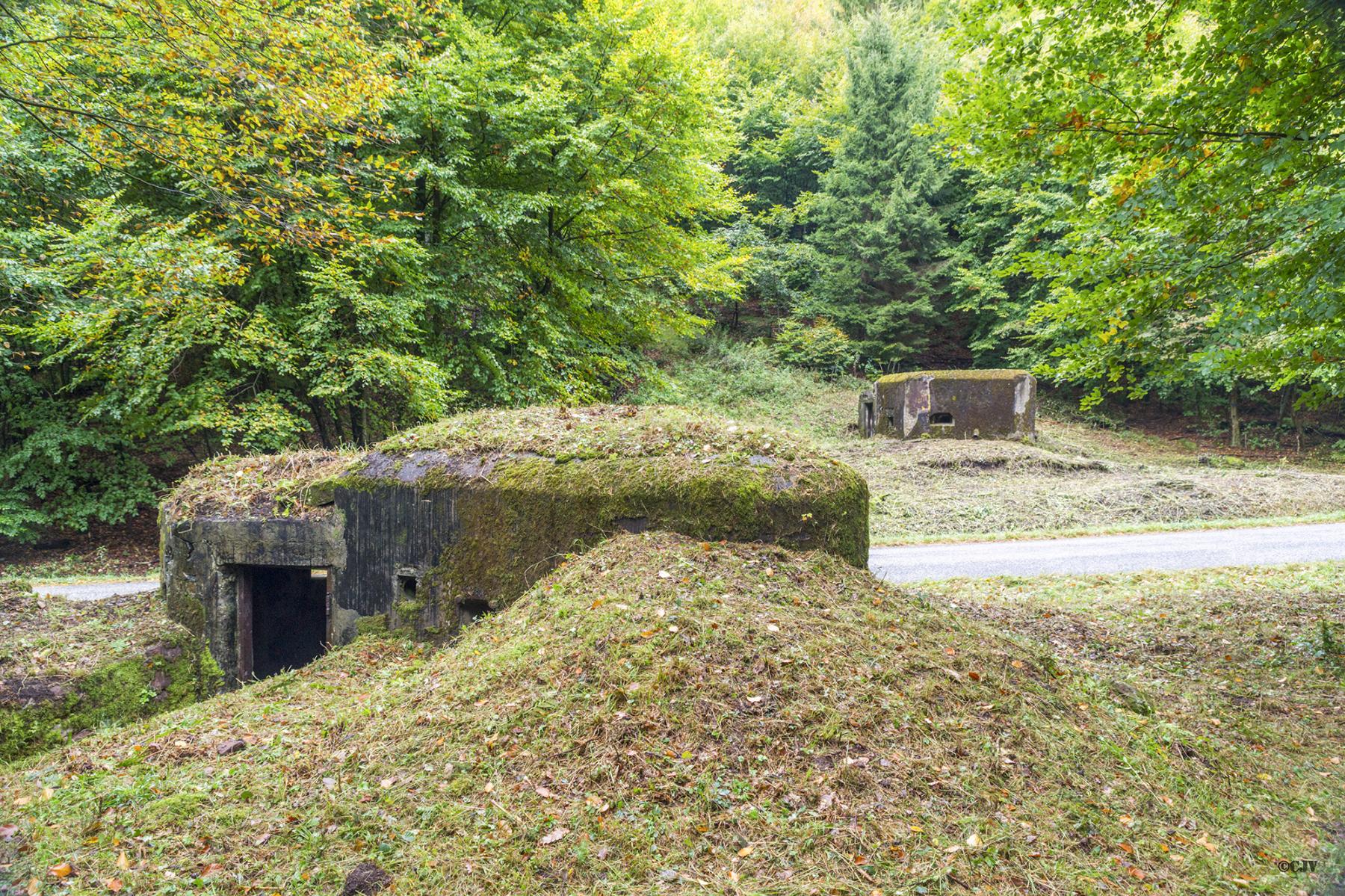 Ligne Maginot - LANGTHAL 2 - (Blockhaus pour arme infanterie) - Vue sur l'entrée et Langthal 1 - Lia VERMEULEN
