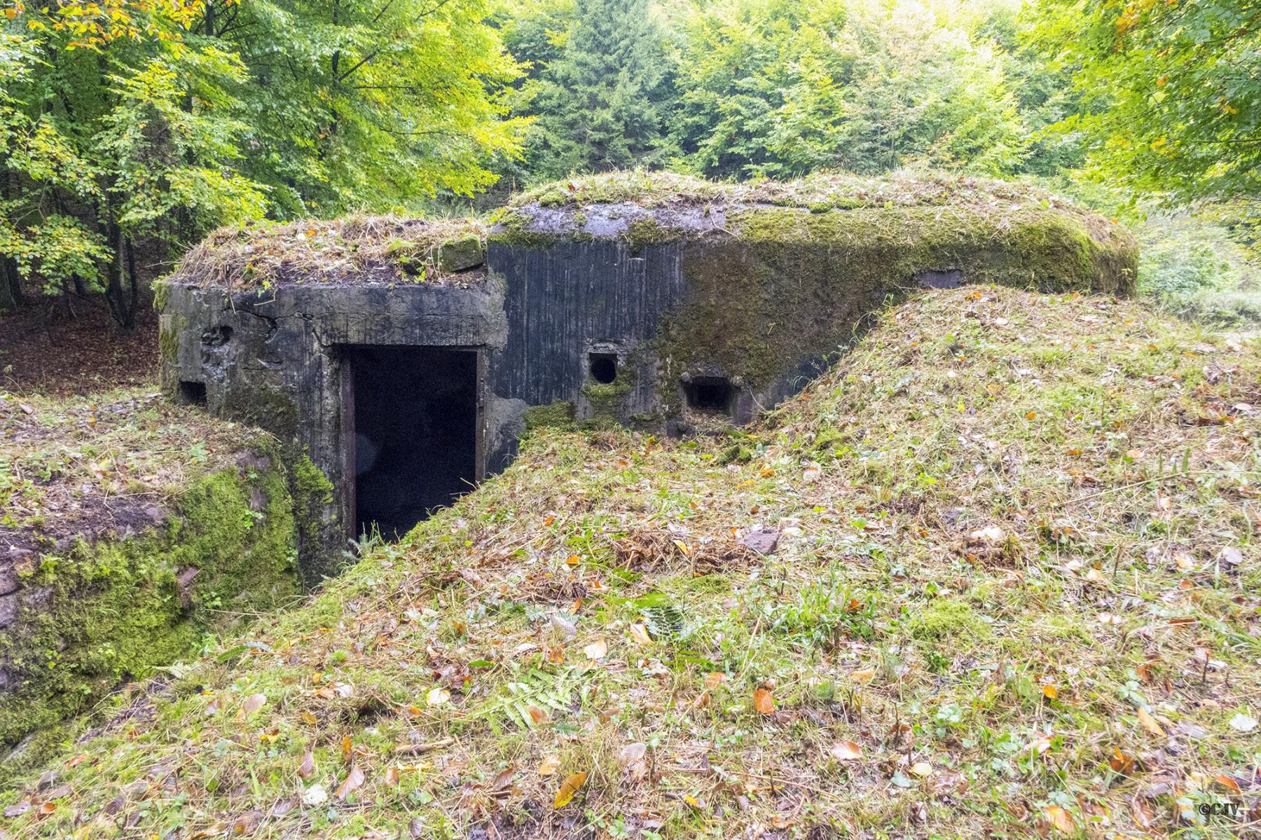 Ligne Maginot - LANGTHAL 2 - (Blockhaus pour arme infanterie) - L'entrée - Lia VERMEULEN