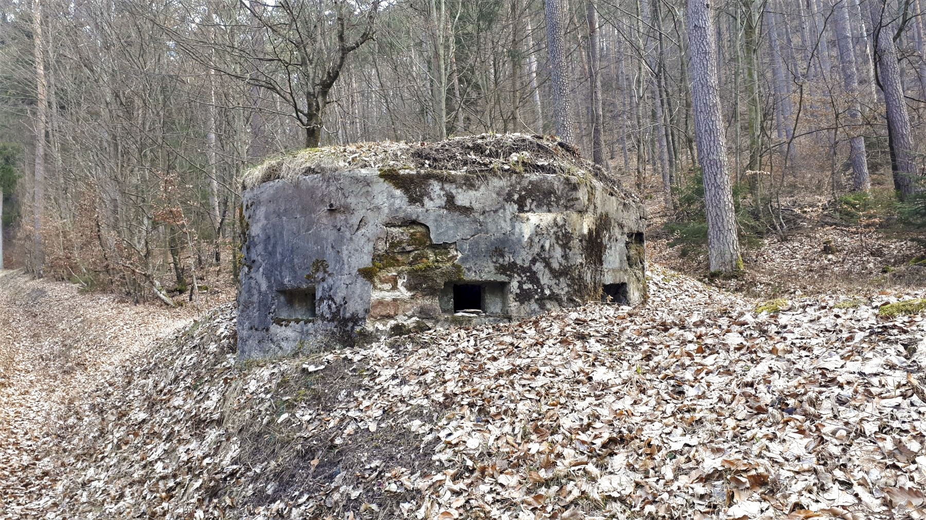 Ligne Maginot - LANGTHAL 2 - (Blockhaus pour arme infanterie) - Blockhaus de défense rapprochée - Gregory Fuchs