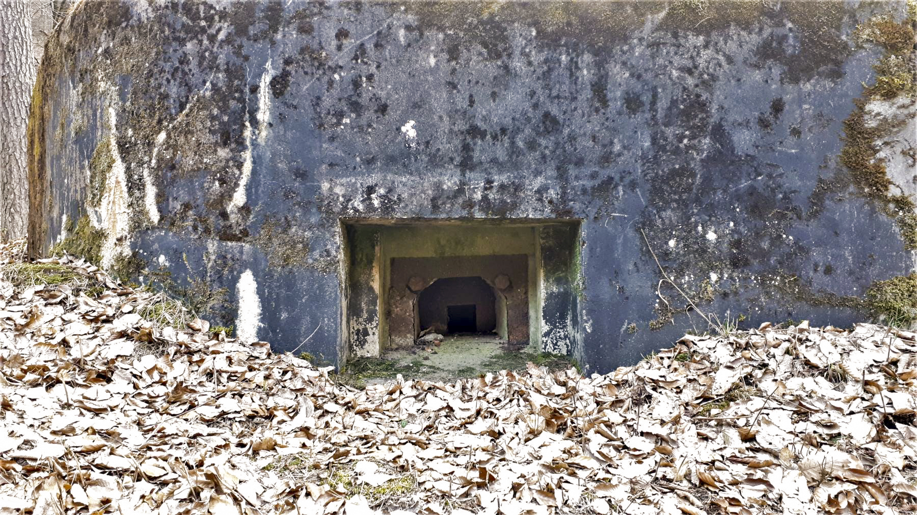 Ligne Maginot - LANGTHAL 2 - (Blockhaus pour arme infanterie) - Détail du créneau FM latéral, noter le bétonnage de la partie basse - Gregory Fuchs