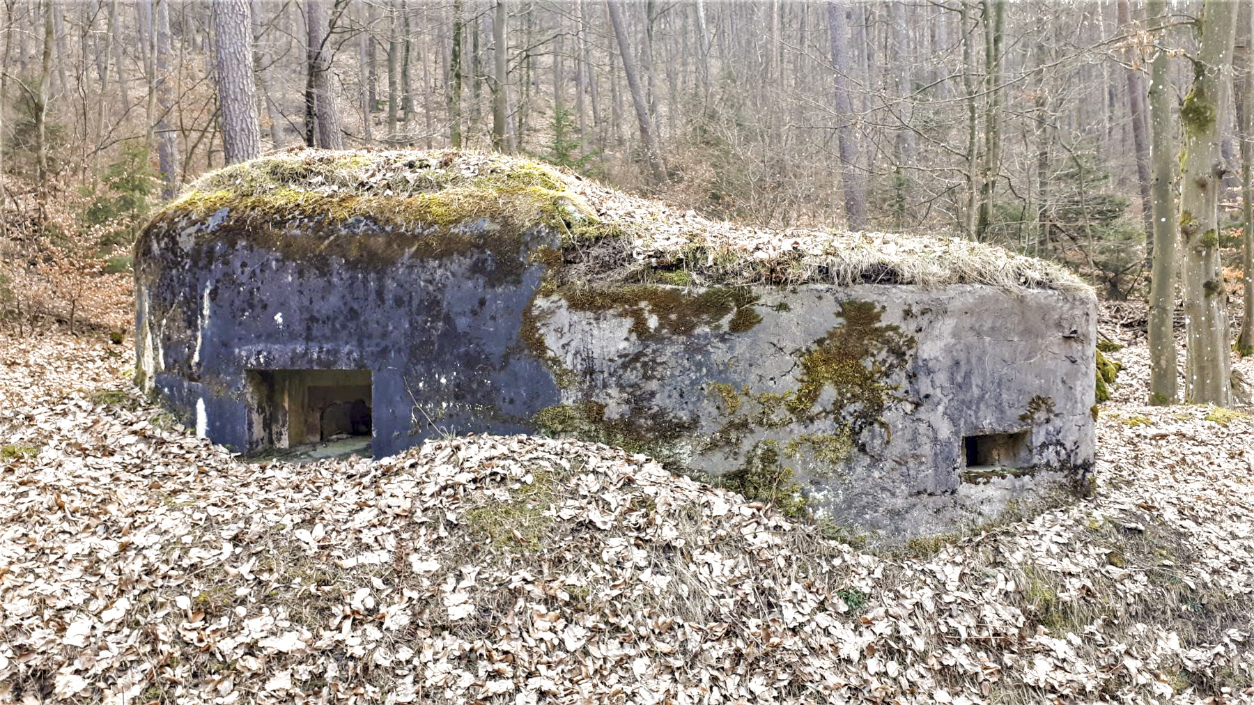 Ligne Maginot - LANGTHAL 2 - (Blockhaus pour arme infanterie) - Créneau FM latéral, à droite créneau de défense rapprochée - Gregory Fuchs
