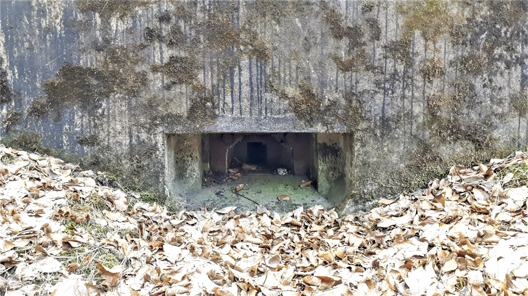 Ligne Maginot - LANGTHAL 2 - (Blockhaus pour arme infanterie) - Détail du créneau FM frontal, noter le bétonnage de la partie basse - Gregory Fuchs