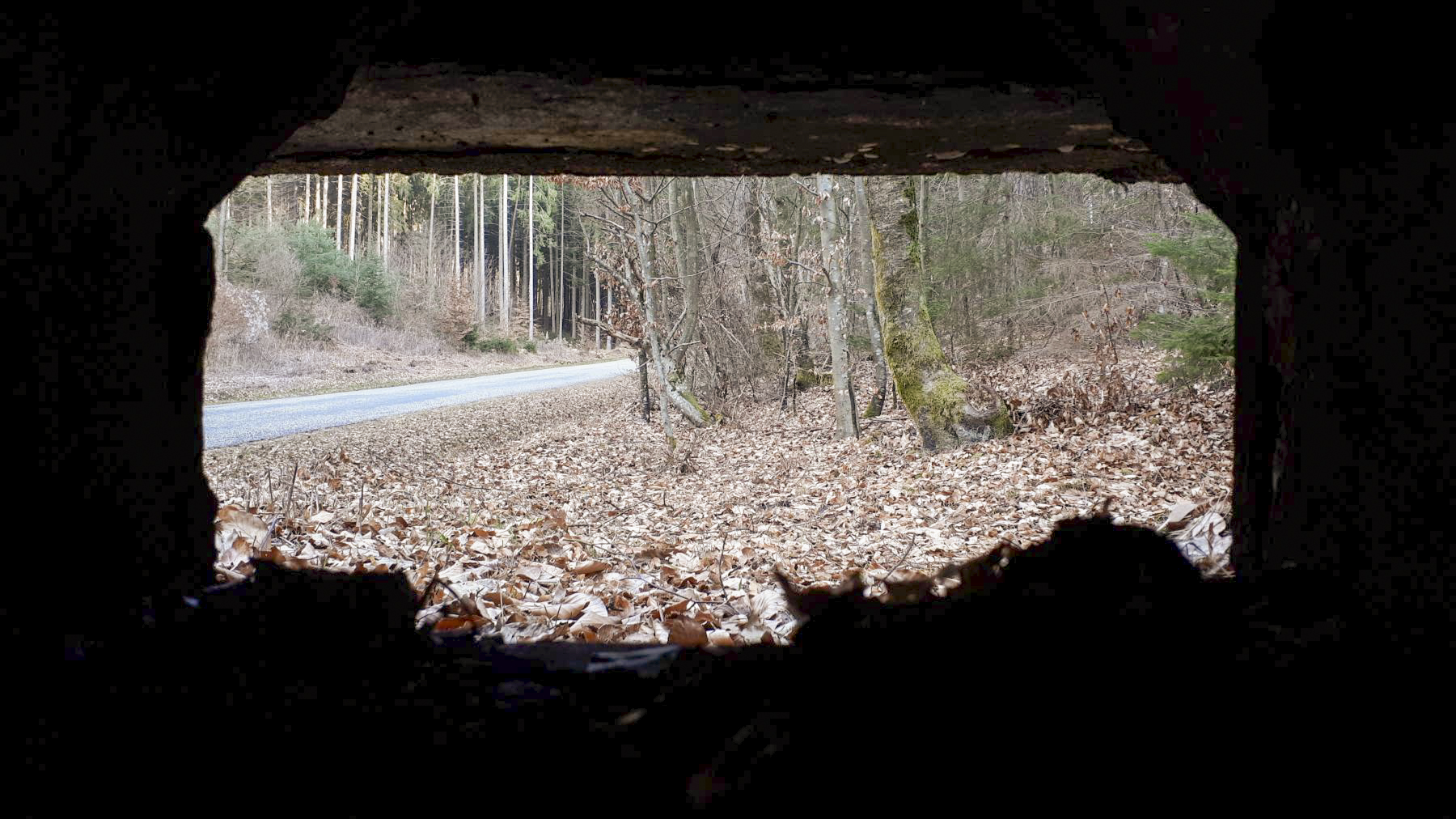 Ligne Maginot - LANGTHAL 2 - (Blockhaus pour arme infanterie) - Vue depuis le créneau FM frontal - Gregory Fuchs