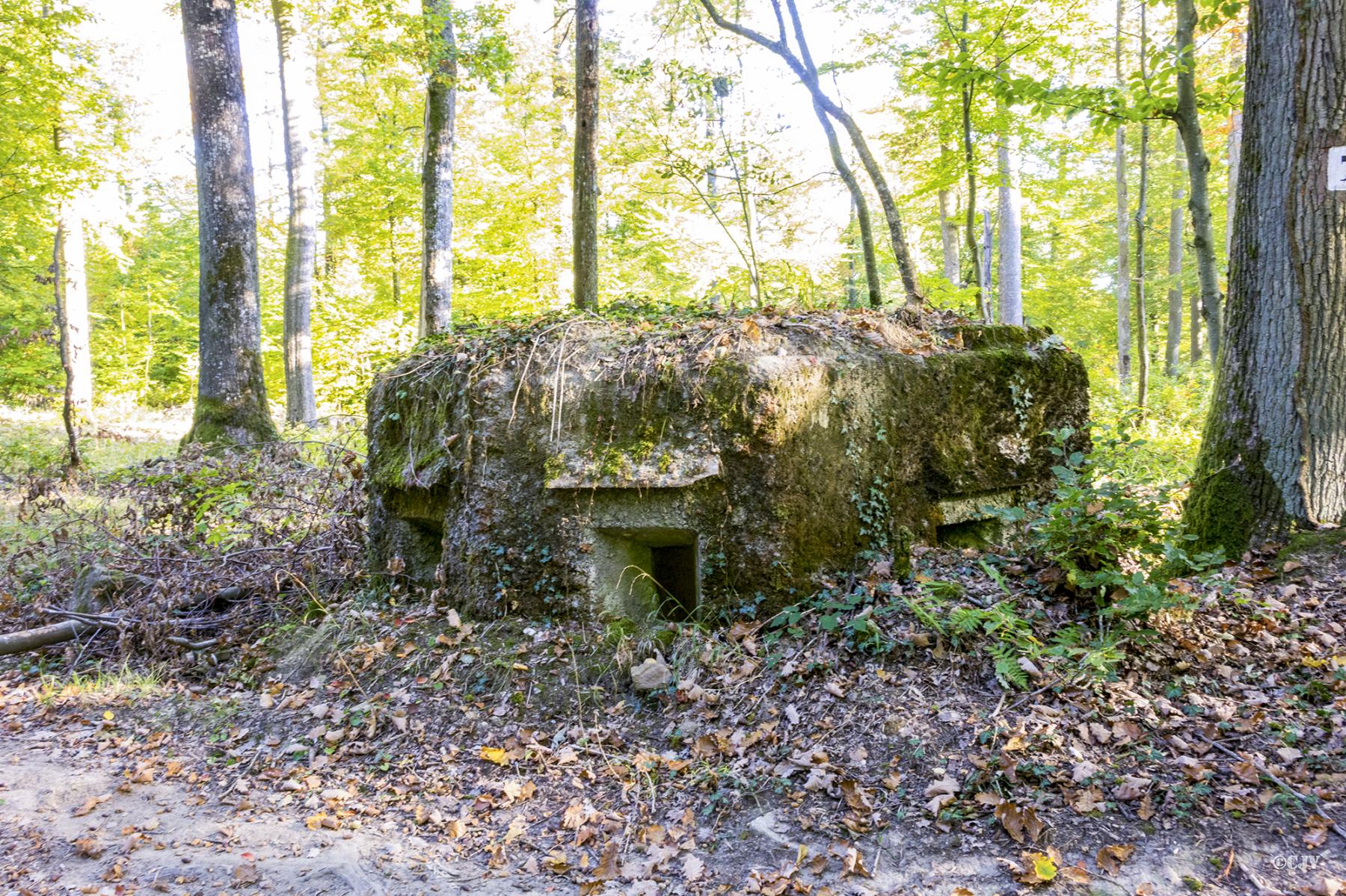 Ligne Maginot - FM50B - MATTSTALL NORD 2 - (Blockhaus pour arme infanterie) -  - Lia VERMEULEN