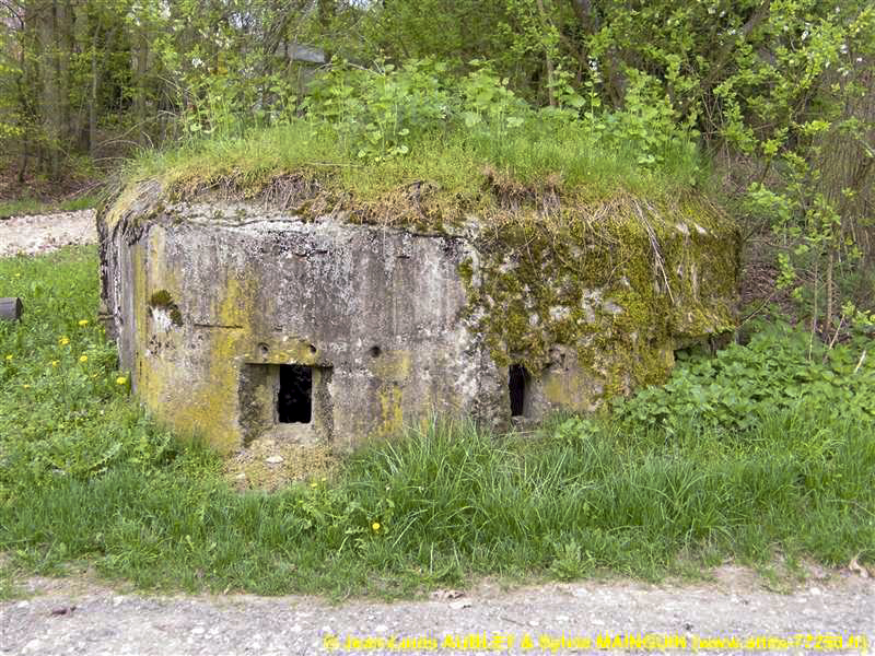 Ligne Maginot - FM51 - MATTSTALL EST - (Blockhaus pour arme infanterie) -  - Jean-Louis AUBLET & Sylvie MAINGUIN (www.attila-77