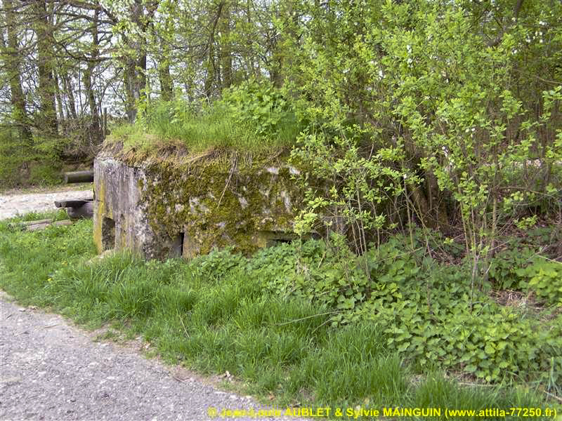 Ligne Maginot - FM51 - MATTSTALL EST - (Blockhaus pour arme infanterie) -  - Jean-Louis AUBLET & Sylvie MAINGUIN (www.attila-77