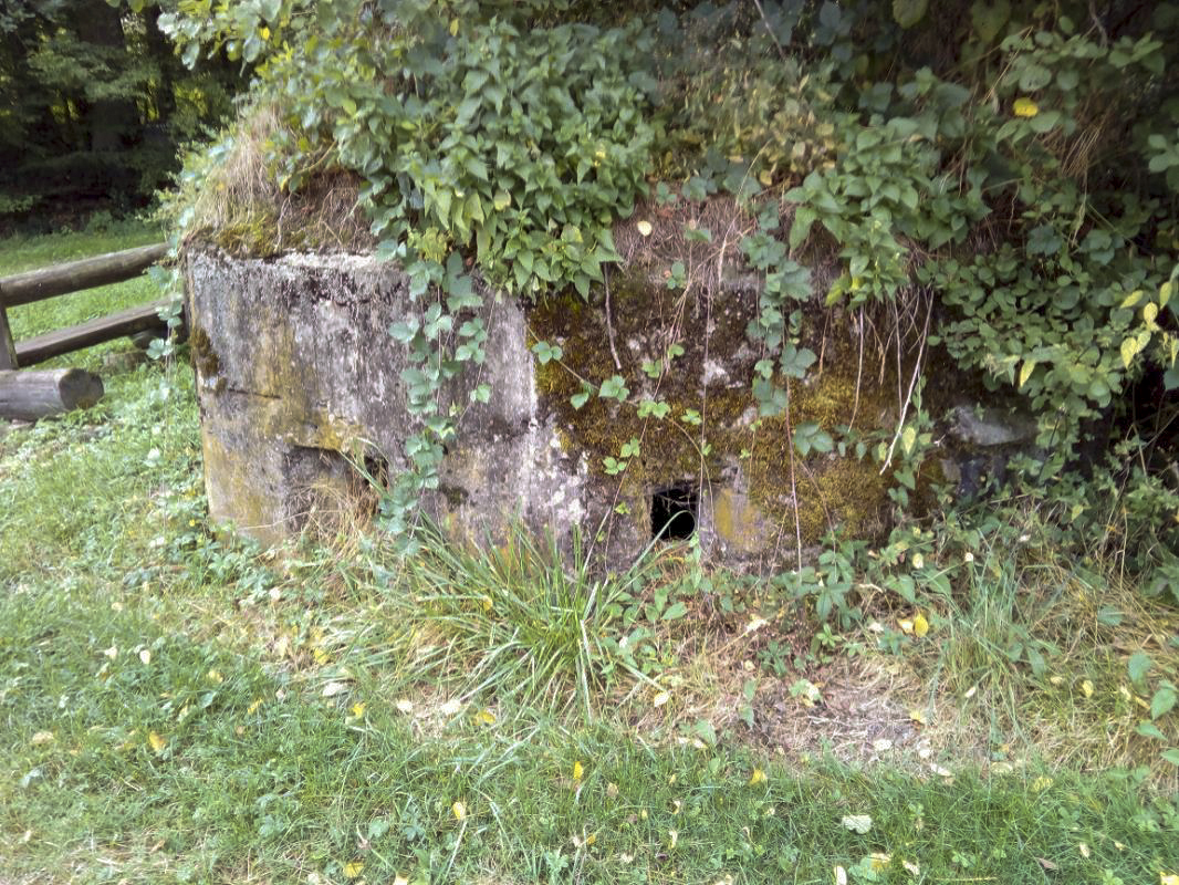 Ligne Maginot - FM51 - MATTSTALL EST - (Blockhaus pour arme infanterie) -  - donceuh