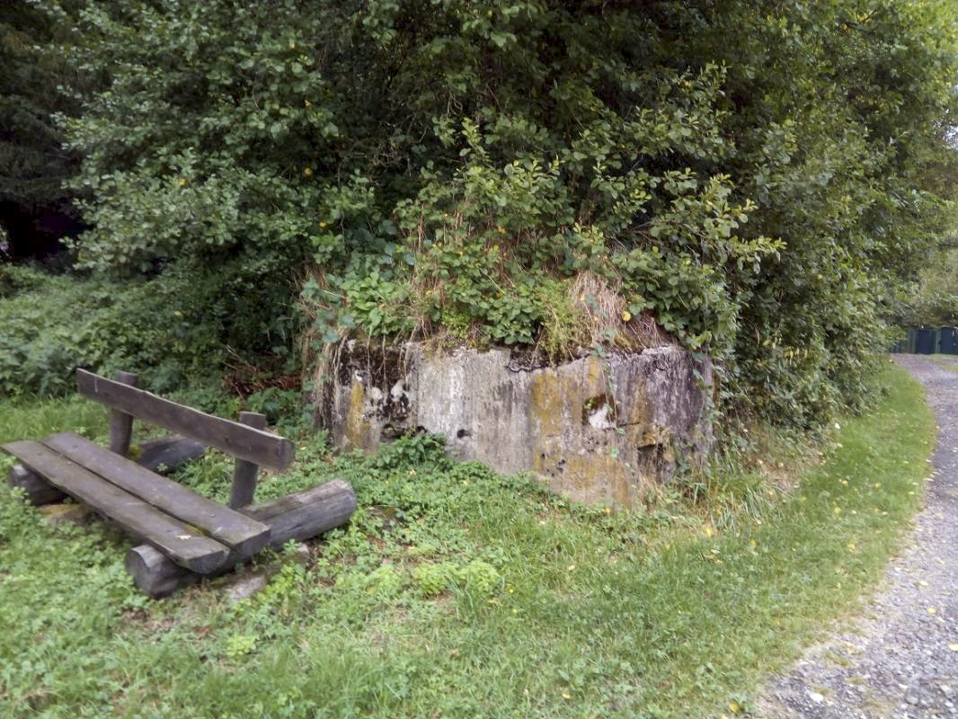 Ligne Maginot - FM51 - MATTSTALL EST - (Blockhaus pour arme infanterie) -  - donceuh
