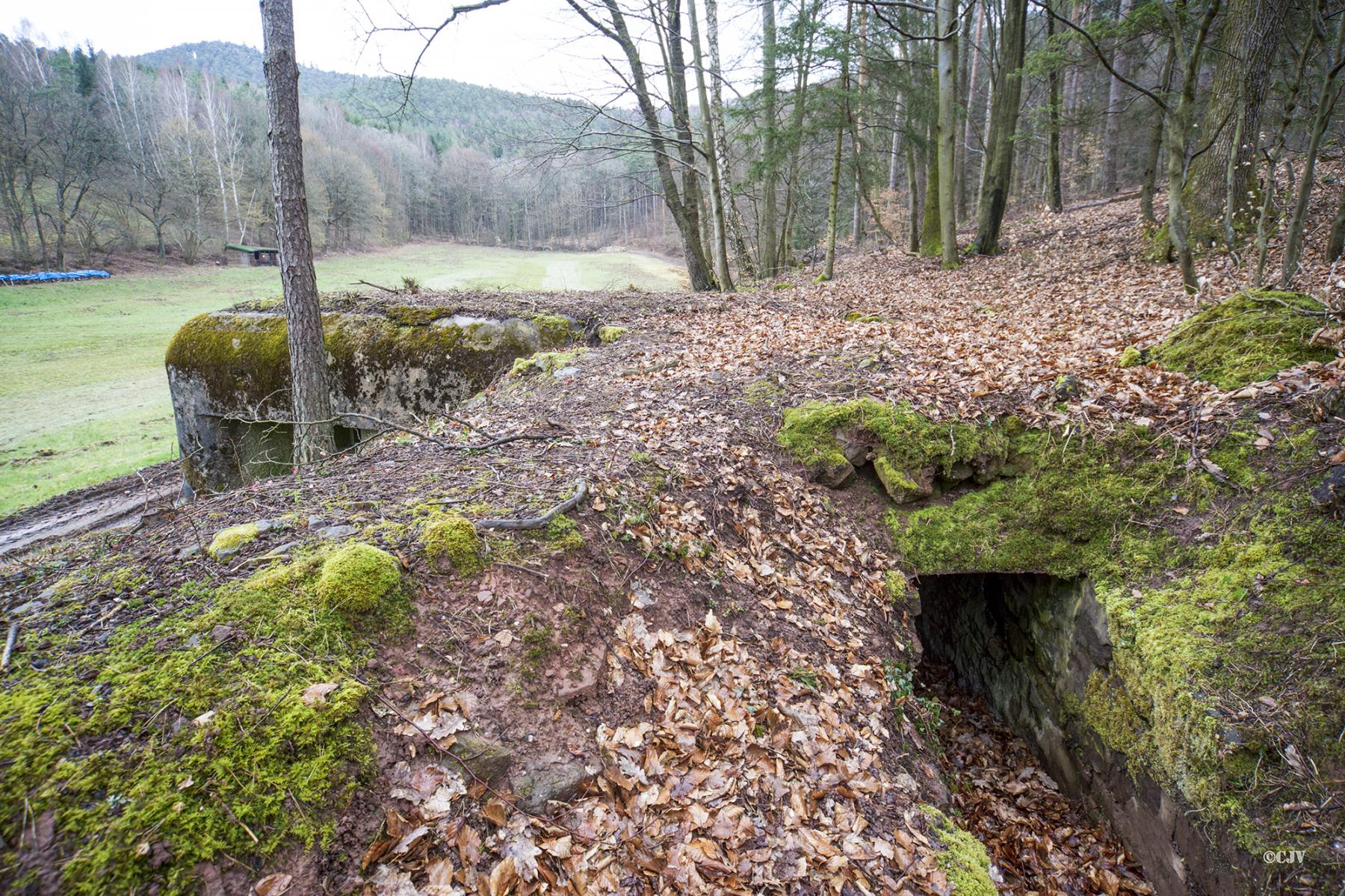 Ligne Maginot - M28 - BETZENTHAL 1 - (Blockhaus pour arme infanterie) - Cette vue montre bien la mission du bloc: la couverture du vallon de Betzenthal. 
A l'arrière, l'entrée de la tranchée couverte - Lia VERMEULEN