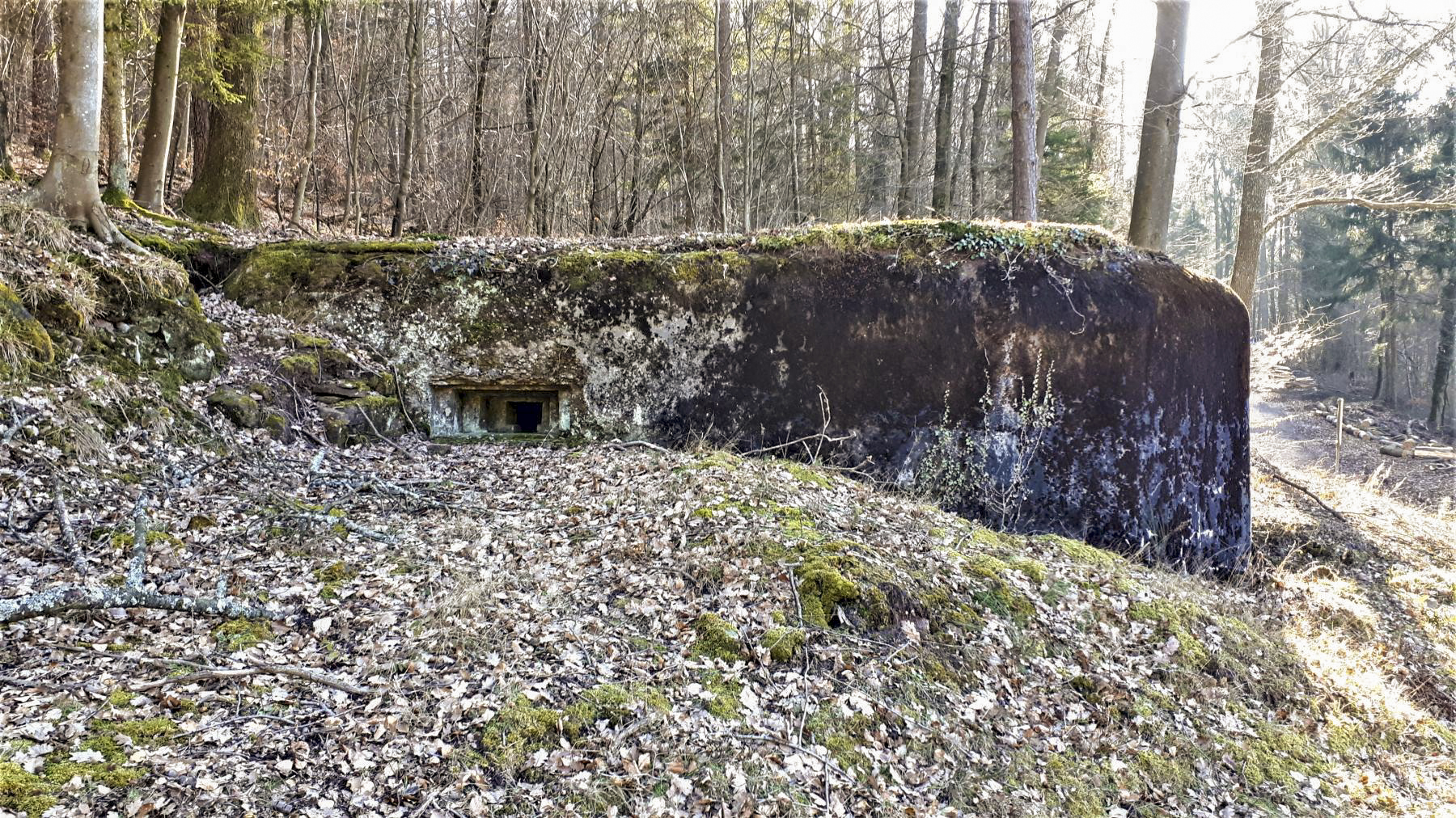 Ligne Maginot - M28 - BETZENTHAL 1 - (Blockhaus pour arme infanterie) - Le créneau nord-est - Gregory Fuchs
