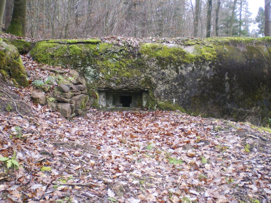 Ligne Maginot - M28 - BETZENTHAL 1 - (Blockhaus pour arme infanterie) - Le créneau nord-est - donceuh