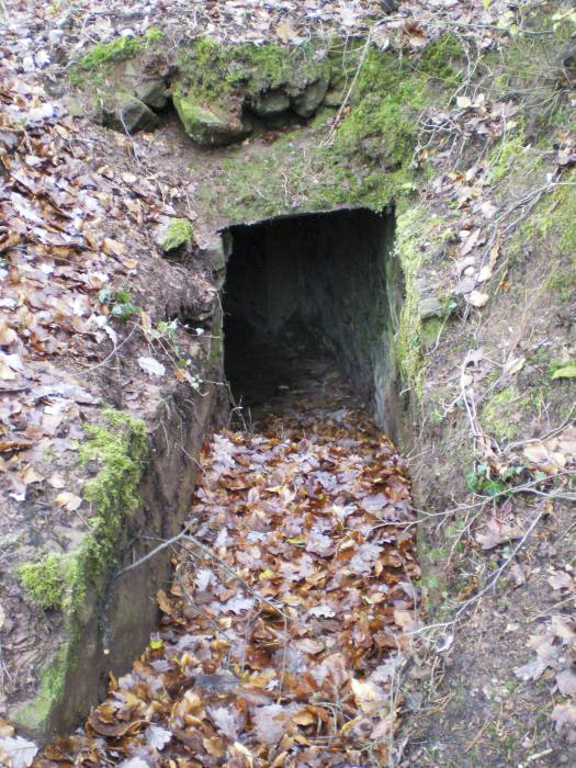 Ligne Maginot - M28 - BETZENTHAL 1 - (Blockhaus pour arme infanterie) - L'entrée de la tranchée couverte - donceuh