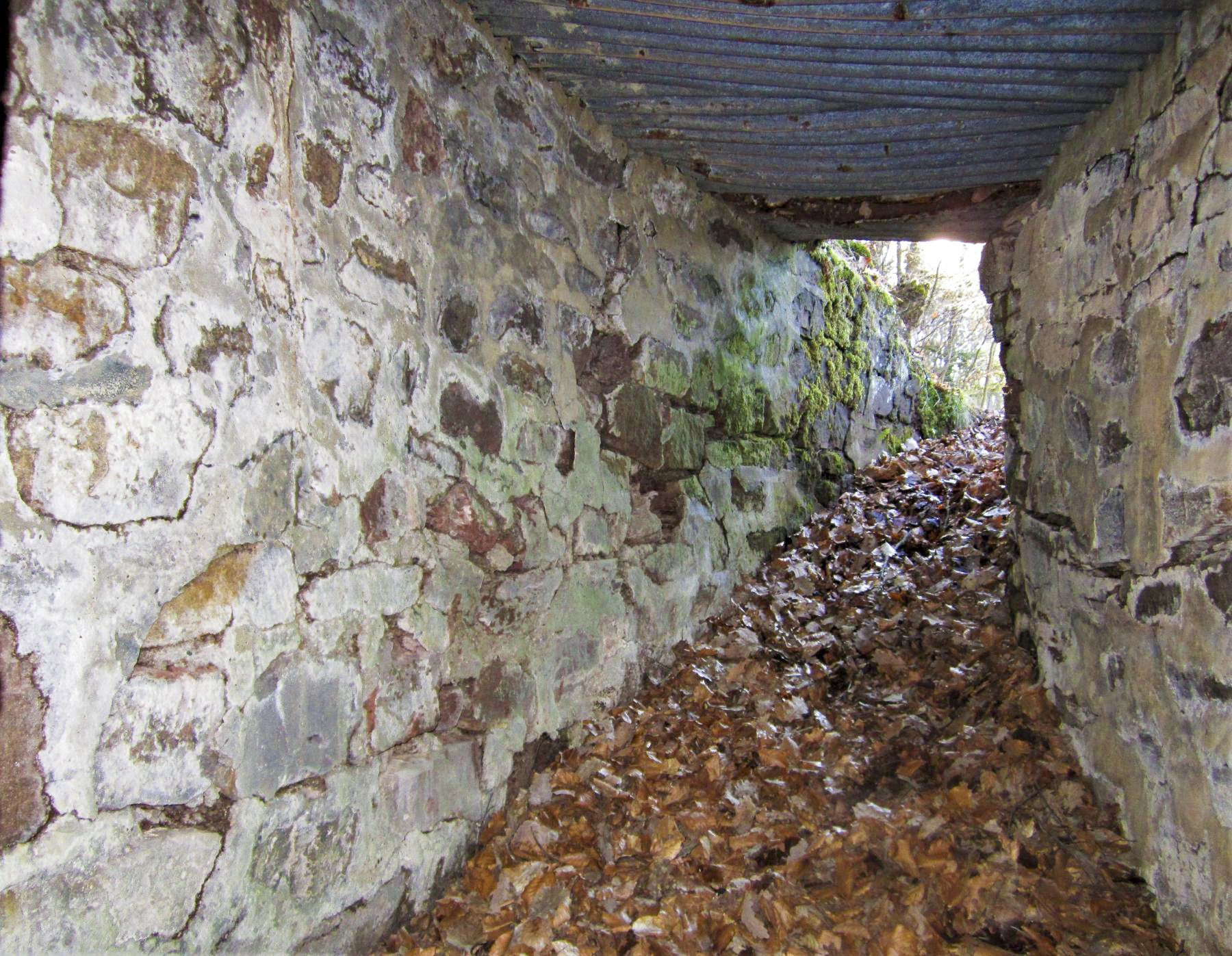 Ligne Maginot - M28 - BETZENTHAL 1 - (Blockhaus pour arme infanterie) - La tranchée couverte - Gregory Fuchs