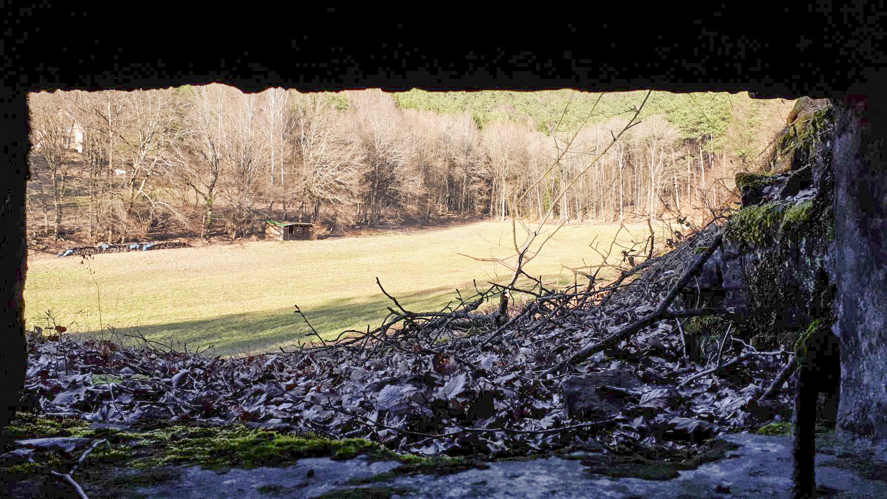 Ligne Maginot - M28 - BETZENTHAL 1 - (Blockhaus pour arme infanterie) - Vue depuis le créneau nord-est - Gregory Fuchs