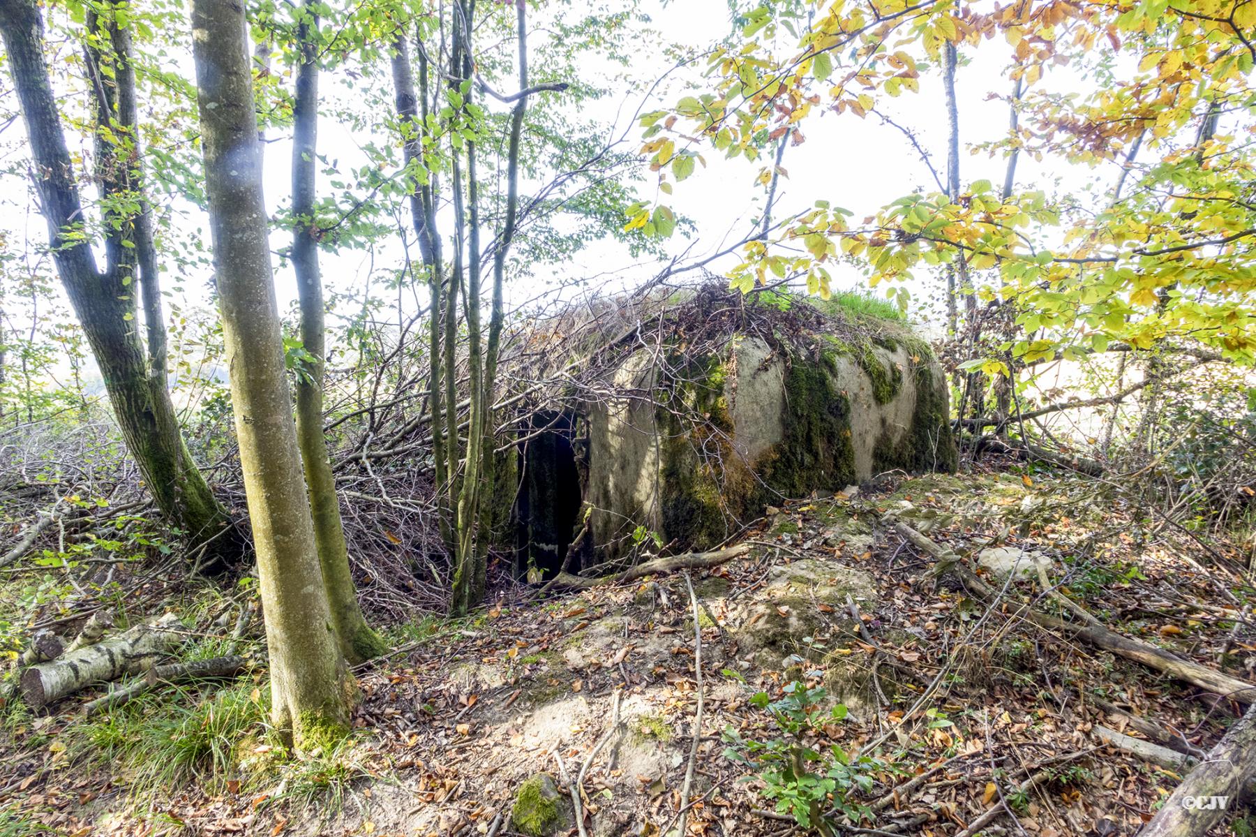 Ligne Maginot - LIES 3 - (Blockhaus pour arme infanterie) -  - Lia VERMEULEN