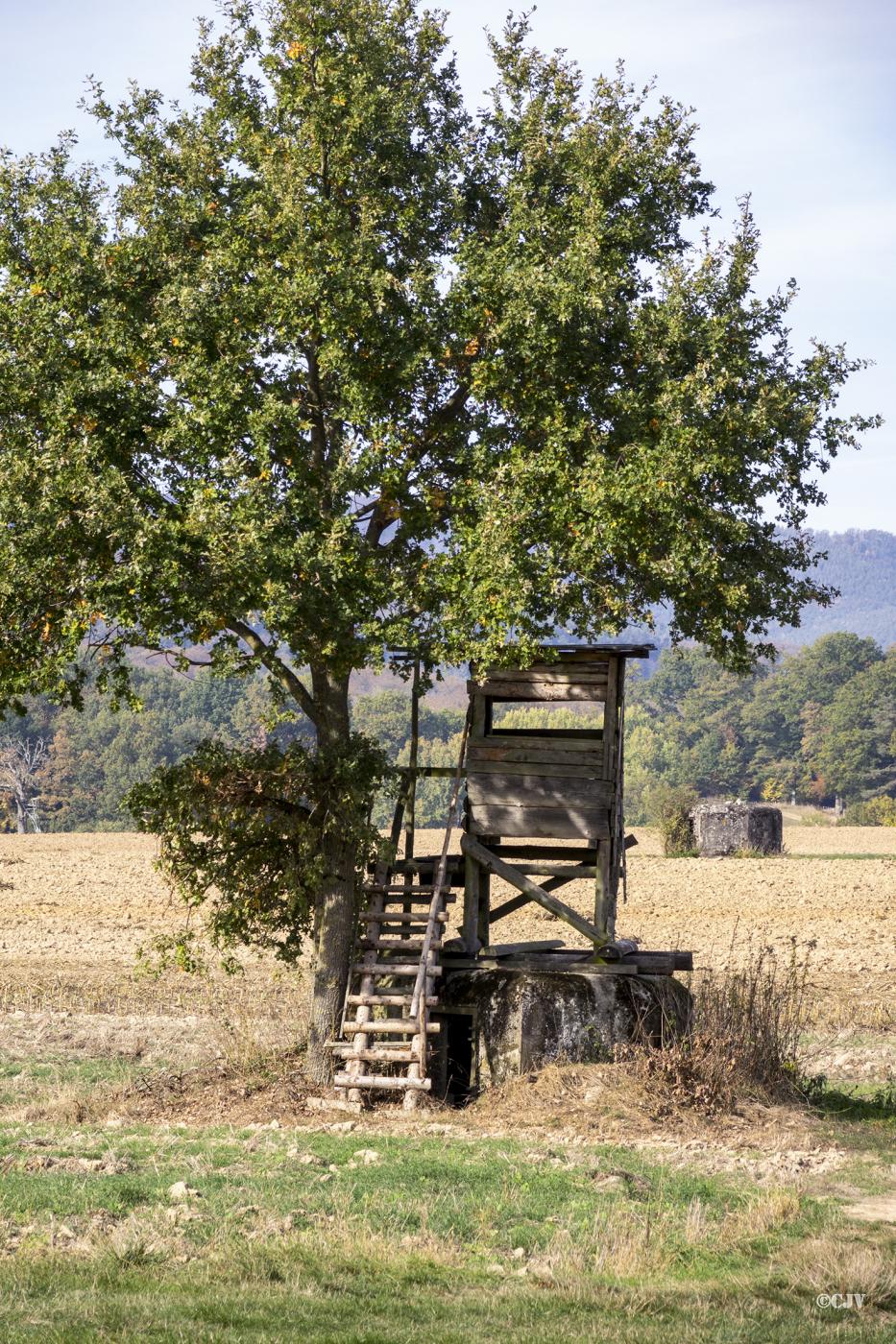 Ligne Maginot - LIES 2 - (Blockhaus pour arme infanterie) -  - Lia VERMEULEN