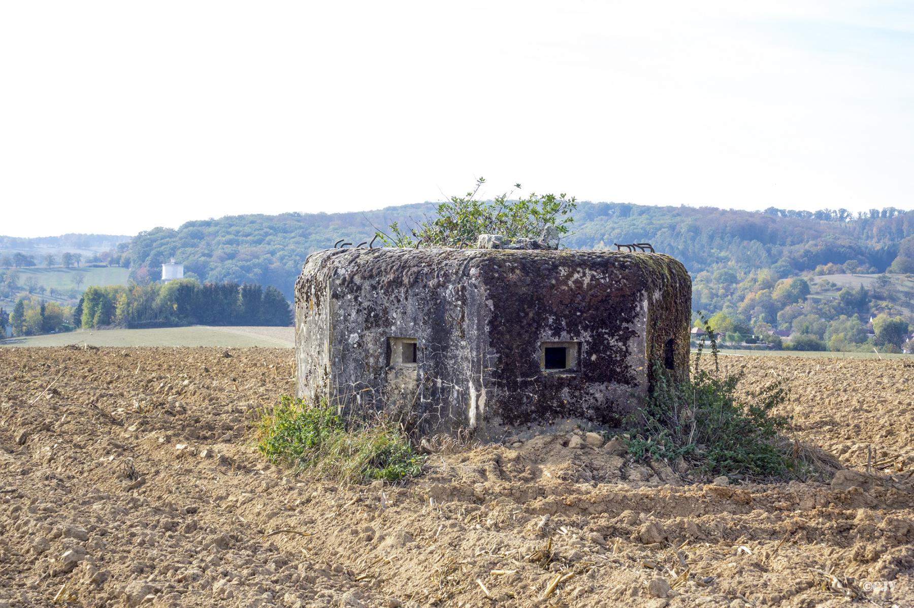 Ligne Maginot - LIES 1 - (Blockhaus pour arme infanterie) -  - Lia VERMEULEN
