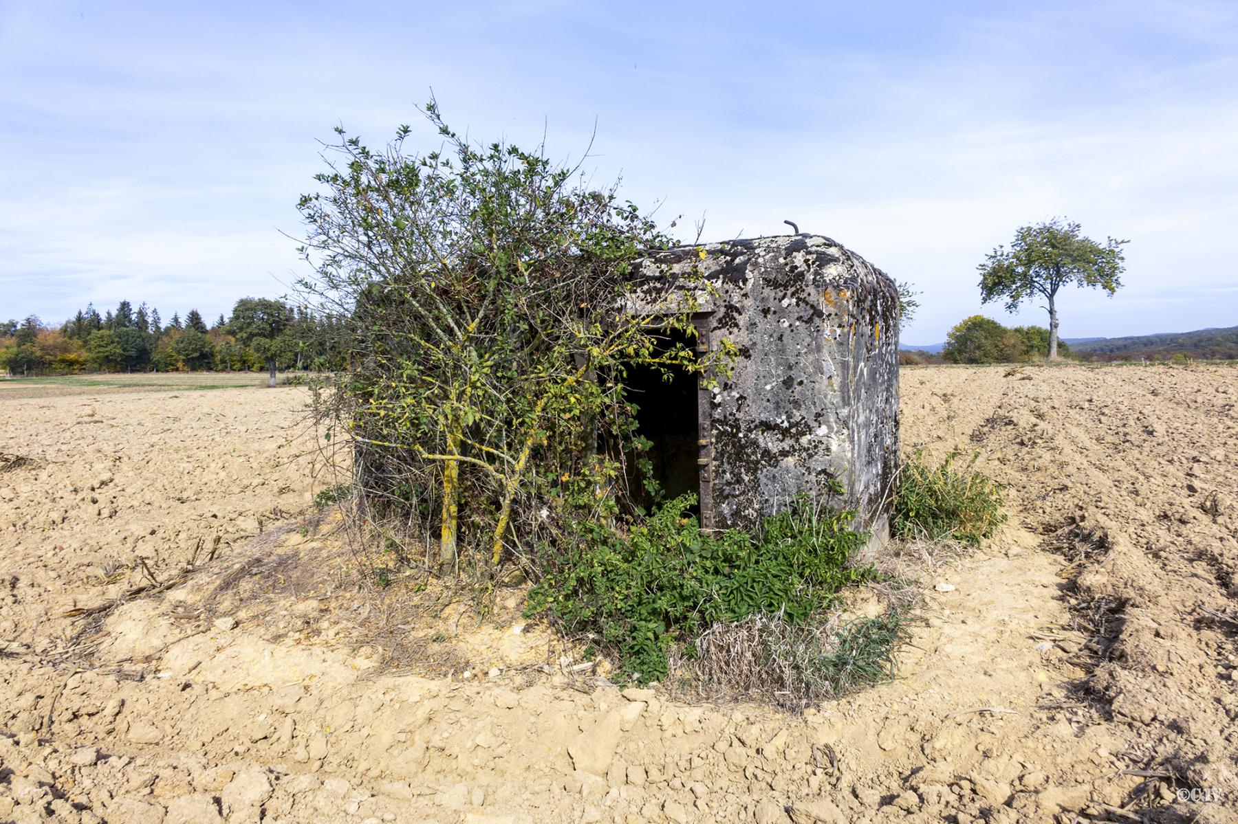 Ligne Maginot - LIES 1 - (Blockhaus pour arme infanterie) -  - Lia VERMEULEN