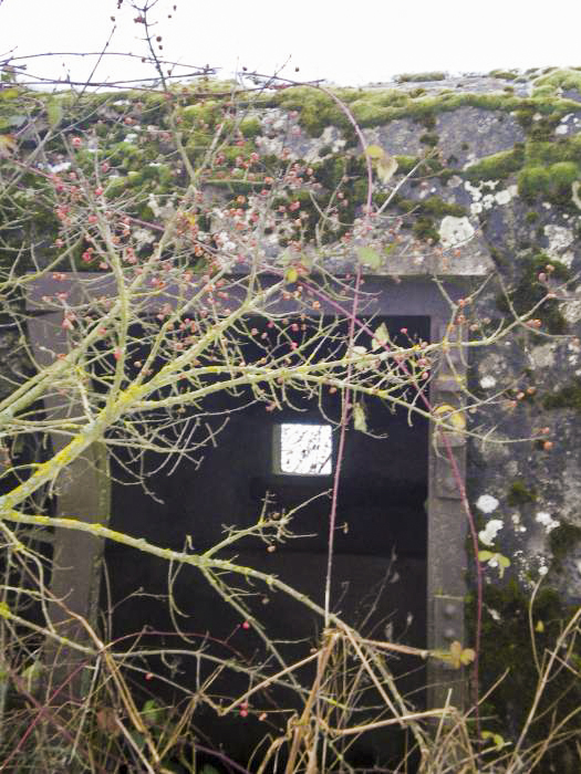 Ligne Maginot - LIES 1 - (Blockhaus pour arme infanterie) -  - donceuh