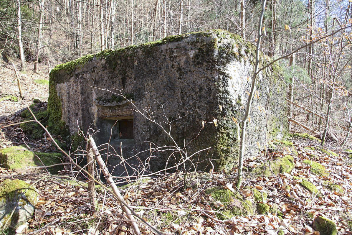 Ligne Maginot - M12 - NONNENHARDT OUEST 3 - (Blockhaus pour arme infanterie) - Le créneau mitrailleuse - Benoit Henrich