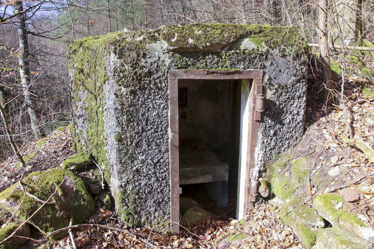 Ligne Maginot - M12 - NONNENHARDT OUEST 3 - (Blockhaus pour arme infanterie) - L'entrée - Benoit Henrich