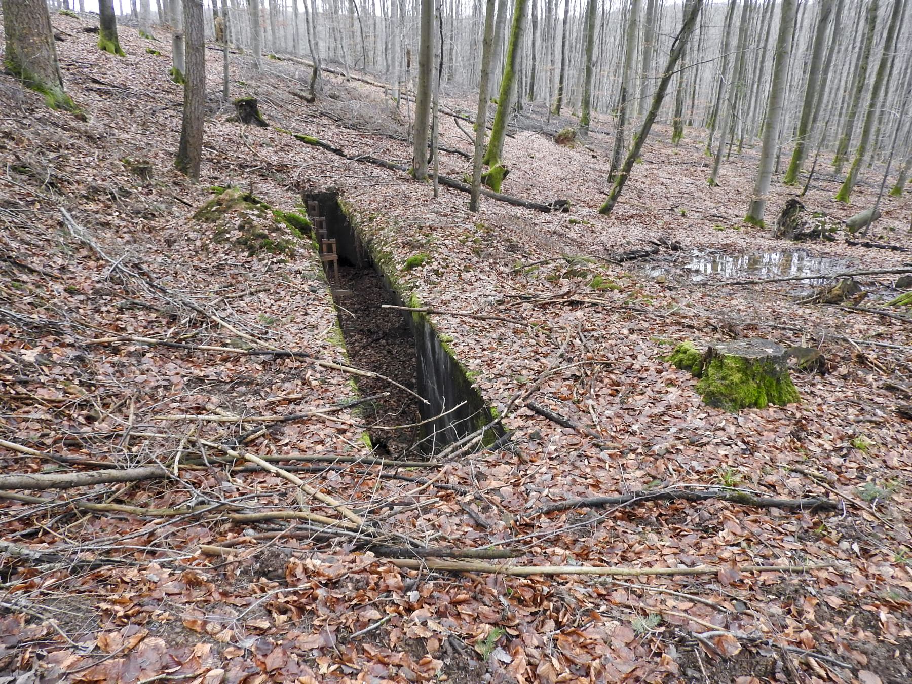 Ligne Maginot - MARKBACH - (Stand de tir) - Le stand de tir en avant du blockhaus - STENGER Mathieu