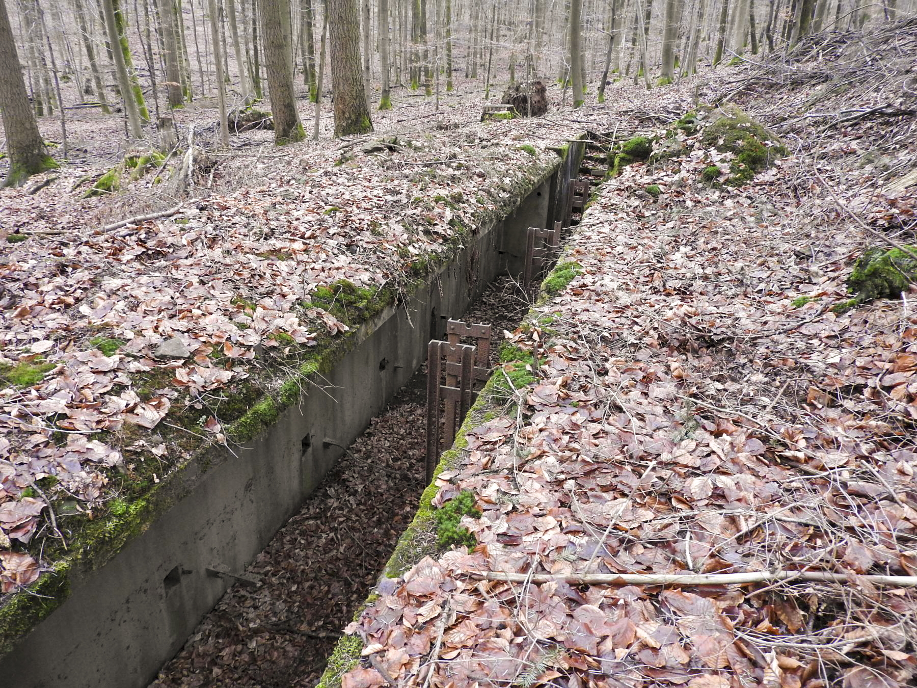 Ligne Maginot - MARKBACH - (Stand de tir) - La tranchée porte-cibles - STENGER Mathieu