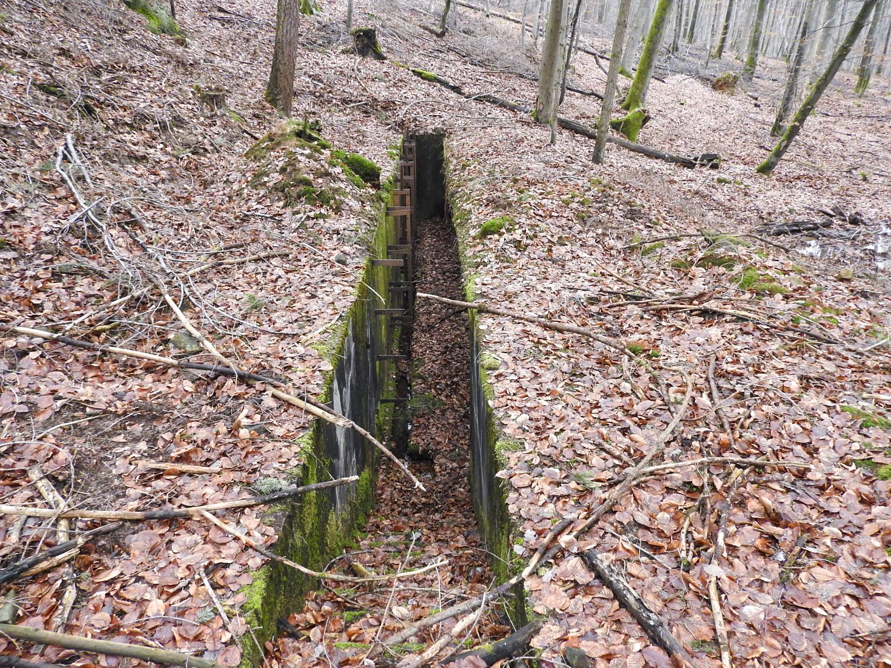 Ligne Maginot - MARKBACH - (Stand de tir) - La tranchée porte-cibles - STENGER Mathieu