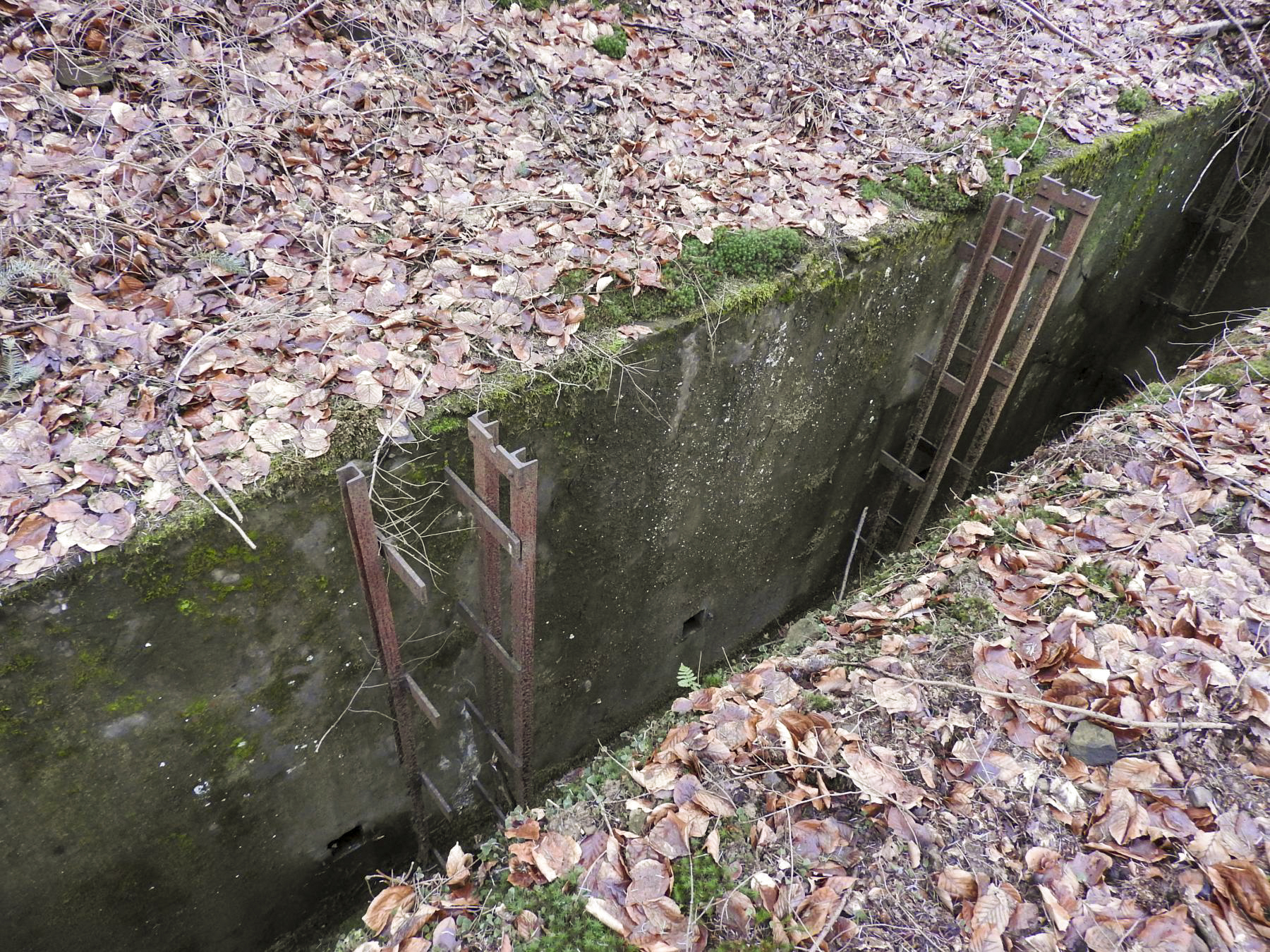 Ligne Maginot - MARKBACH - (Stand de tir) - La tranchée porte-cibles - STENGER Mathieu